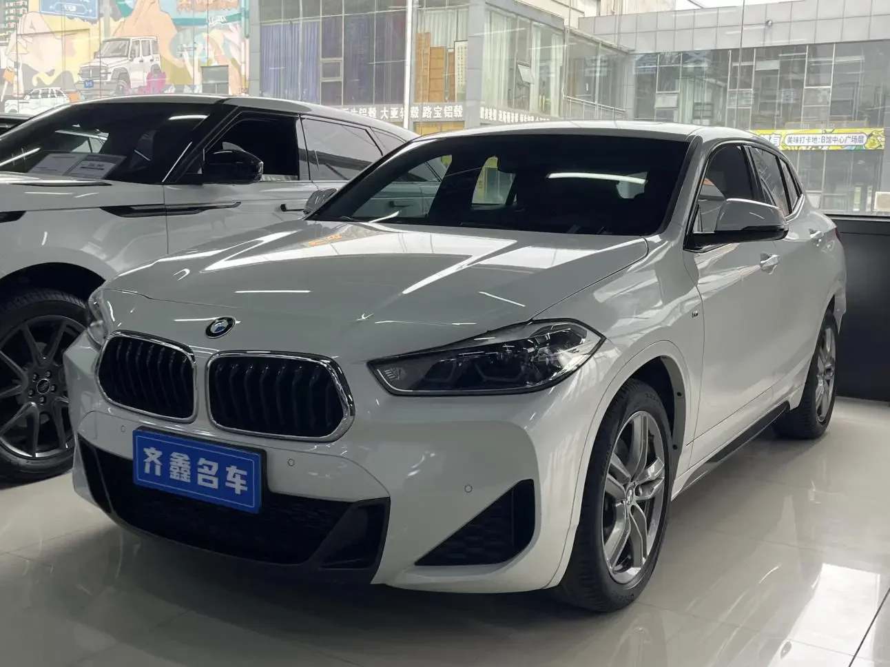 BMW X2