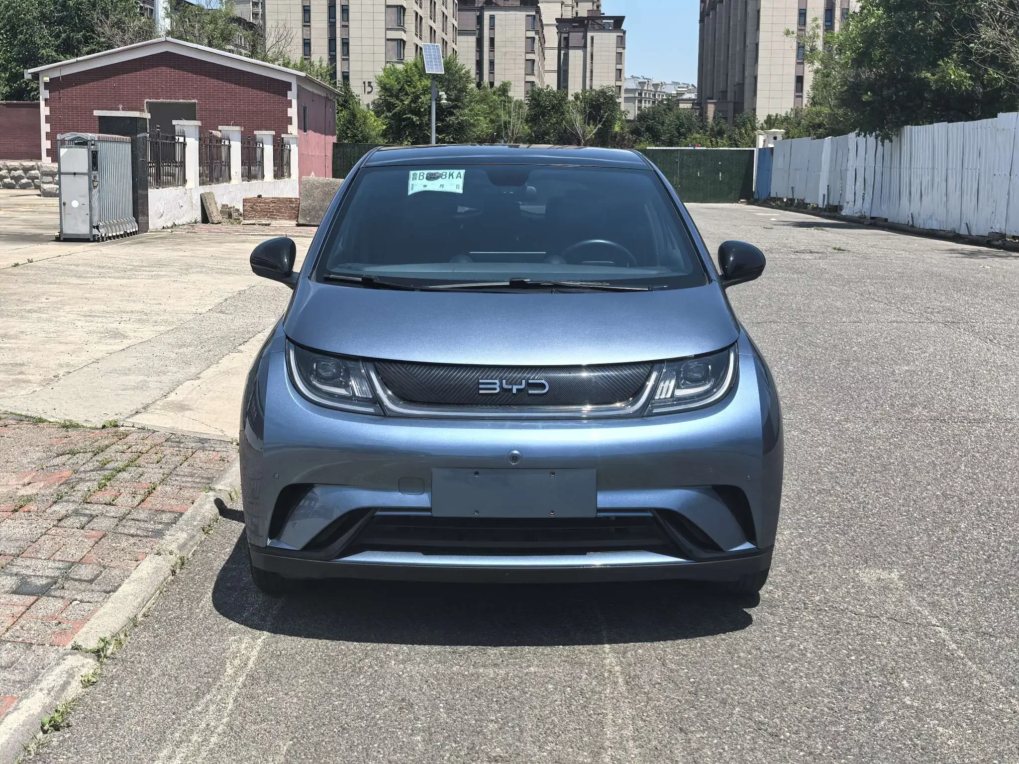 BYD dolphin