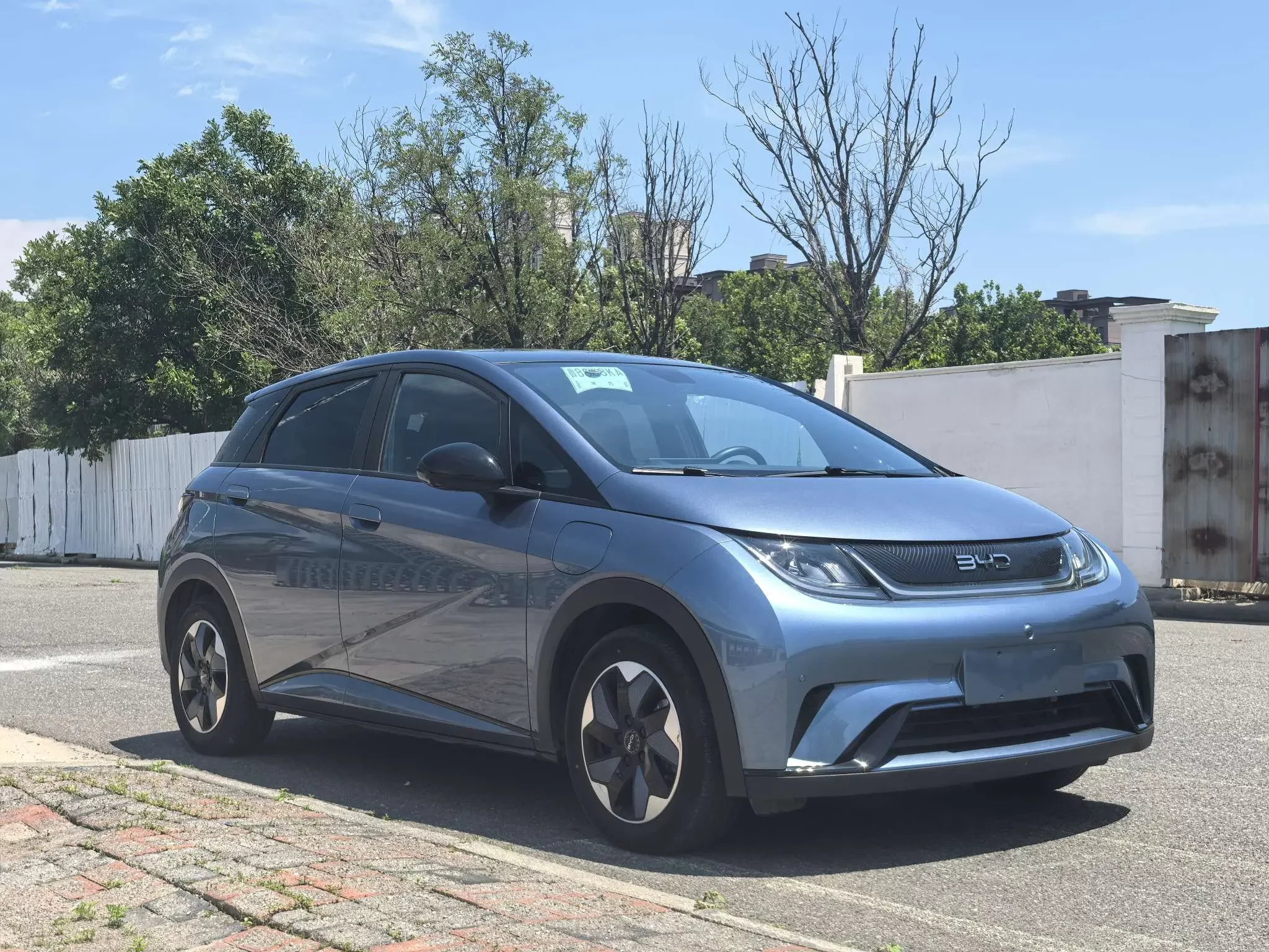BYD dolphin