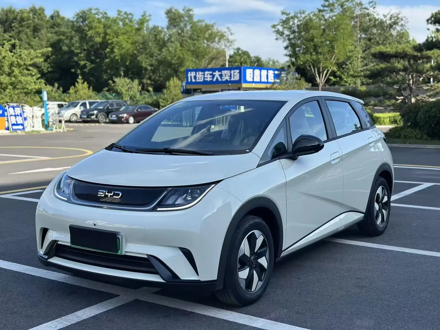 BYD dolphin