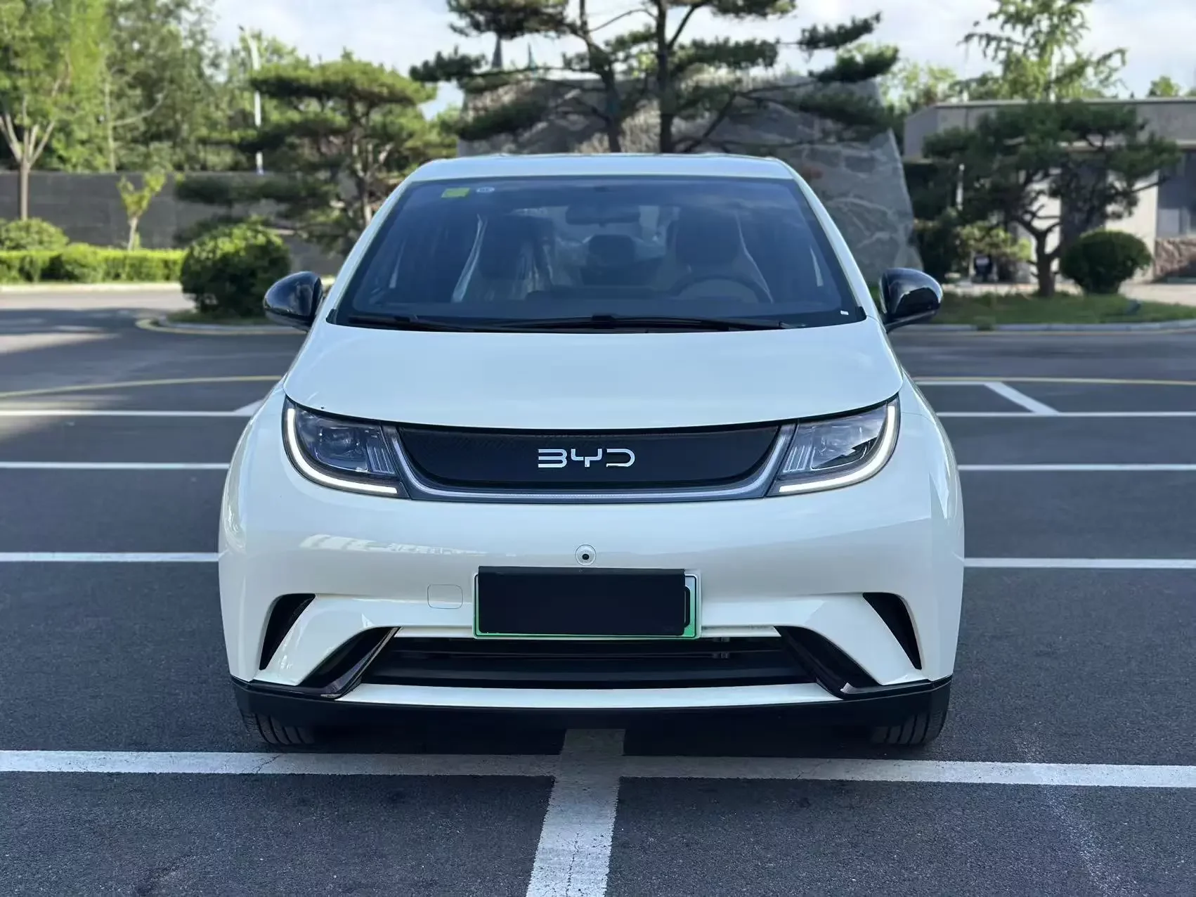 BYD dolphin