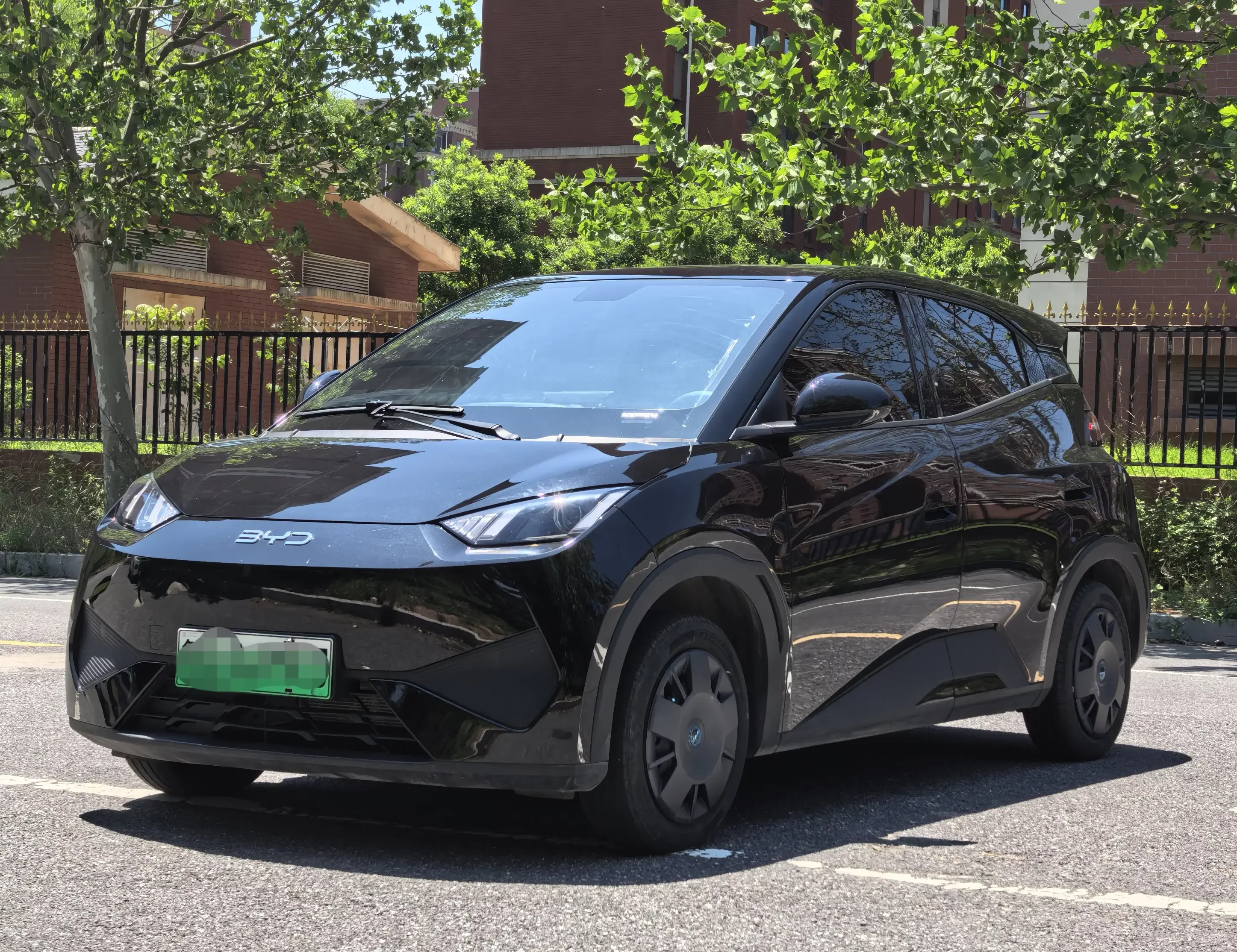 BYD seagull