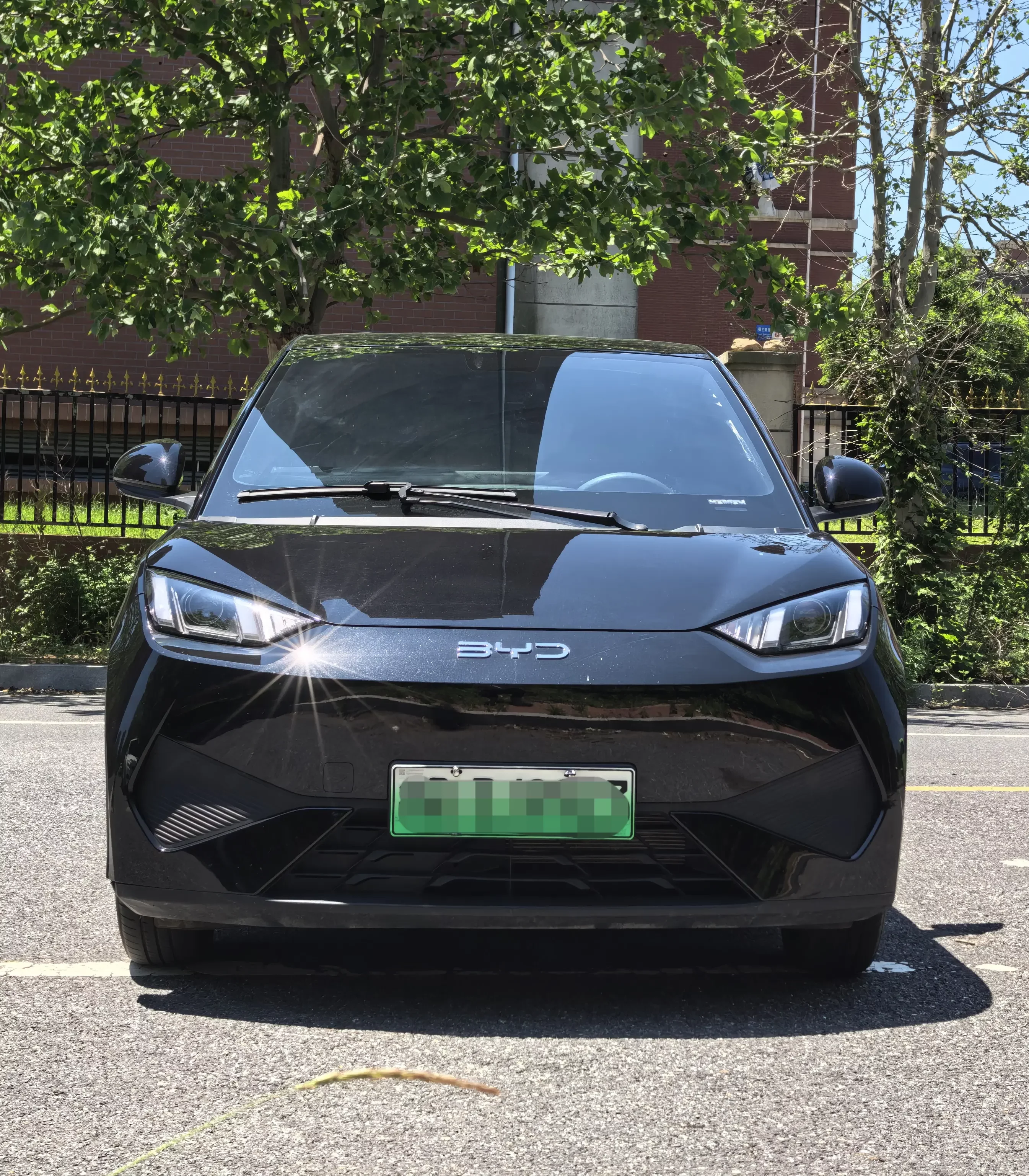 BYD seagull