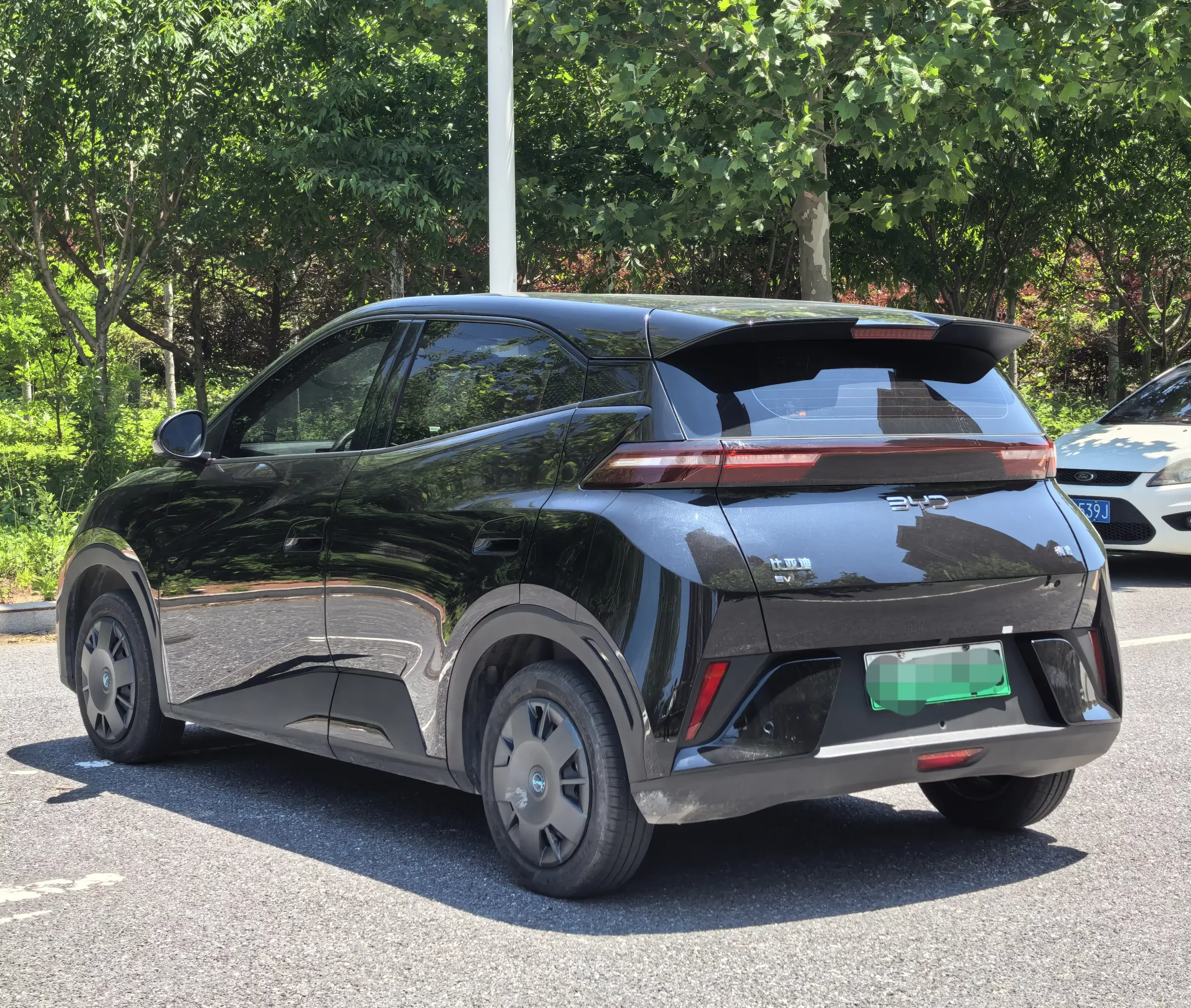 BYD seagull