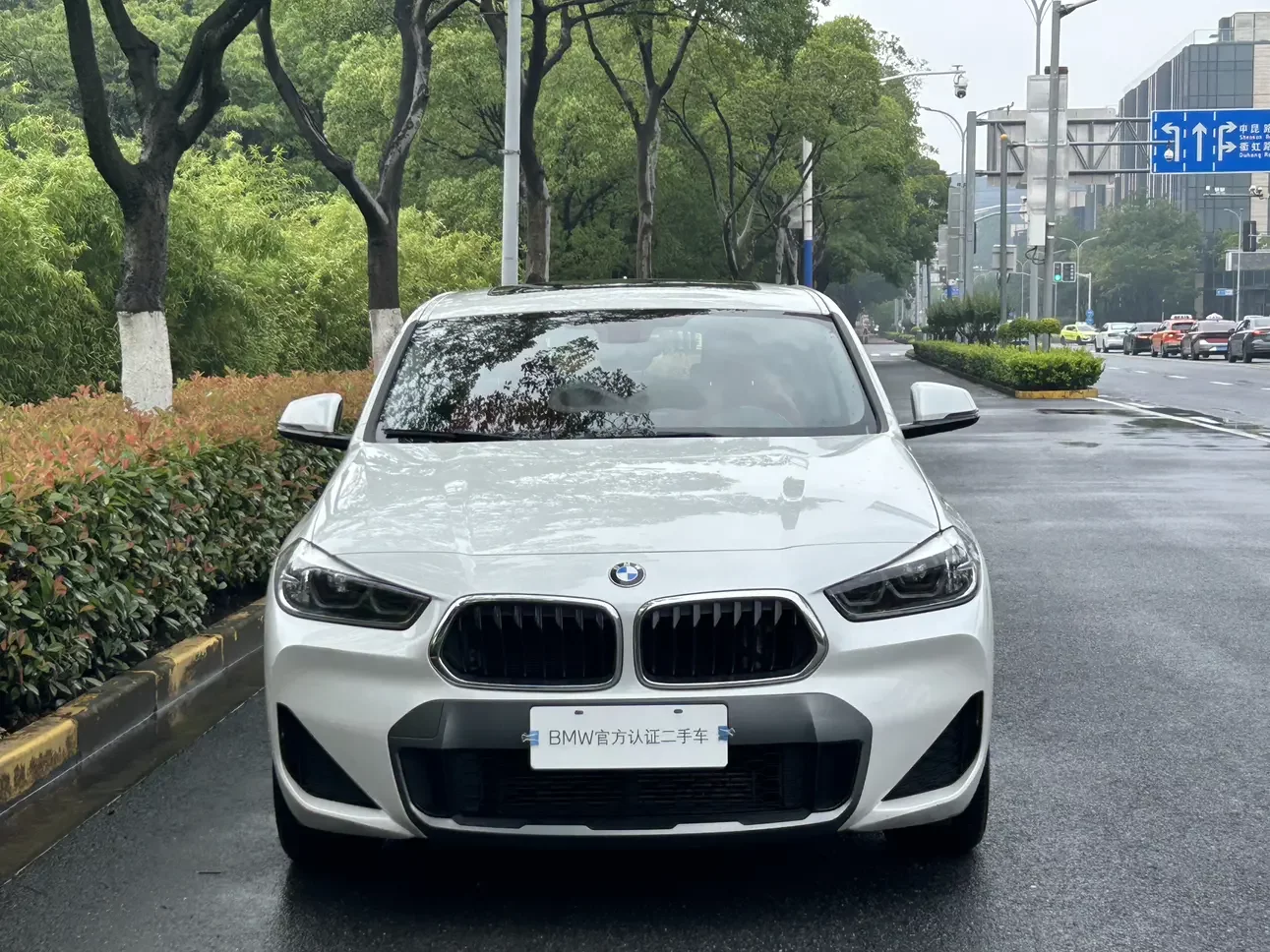 BMW X2
