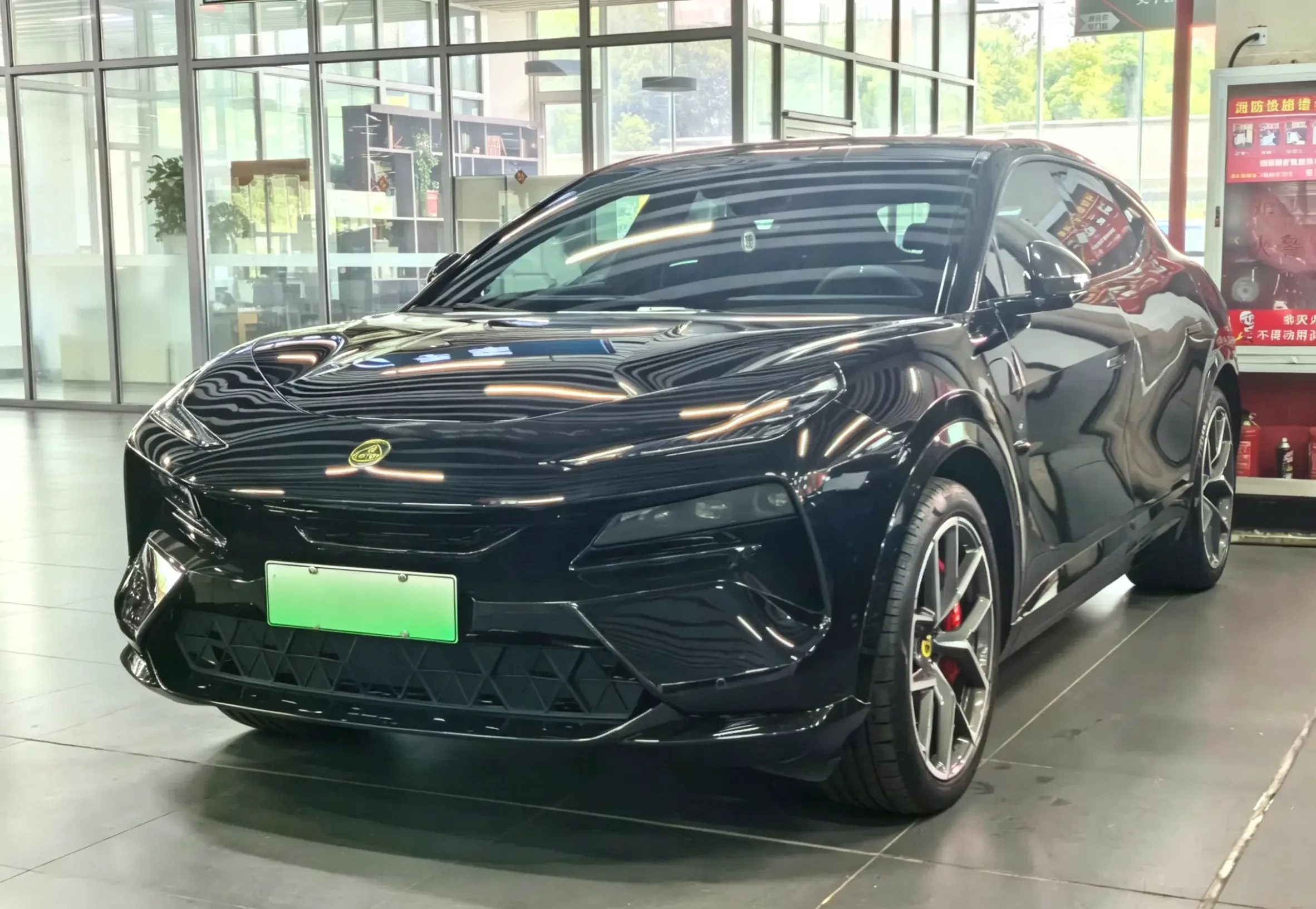Lotus Eletre