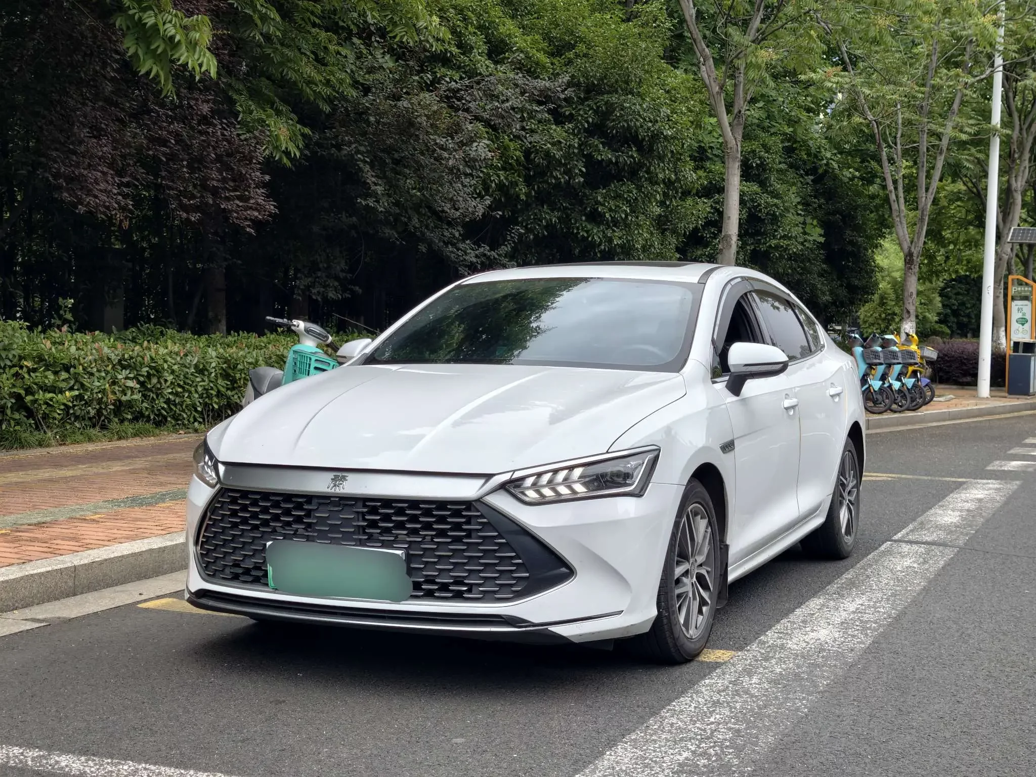 BYD Qin PLUS DM