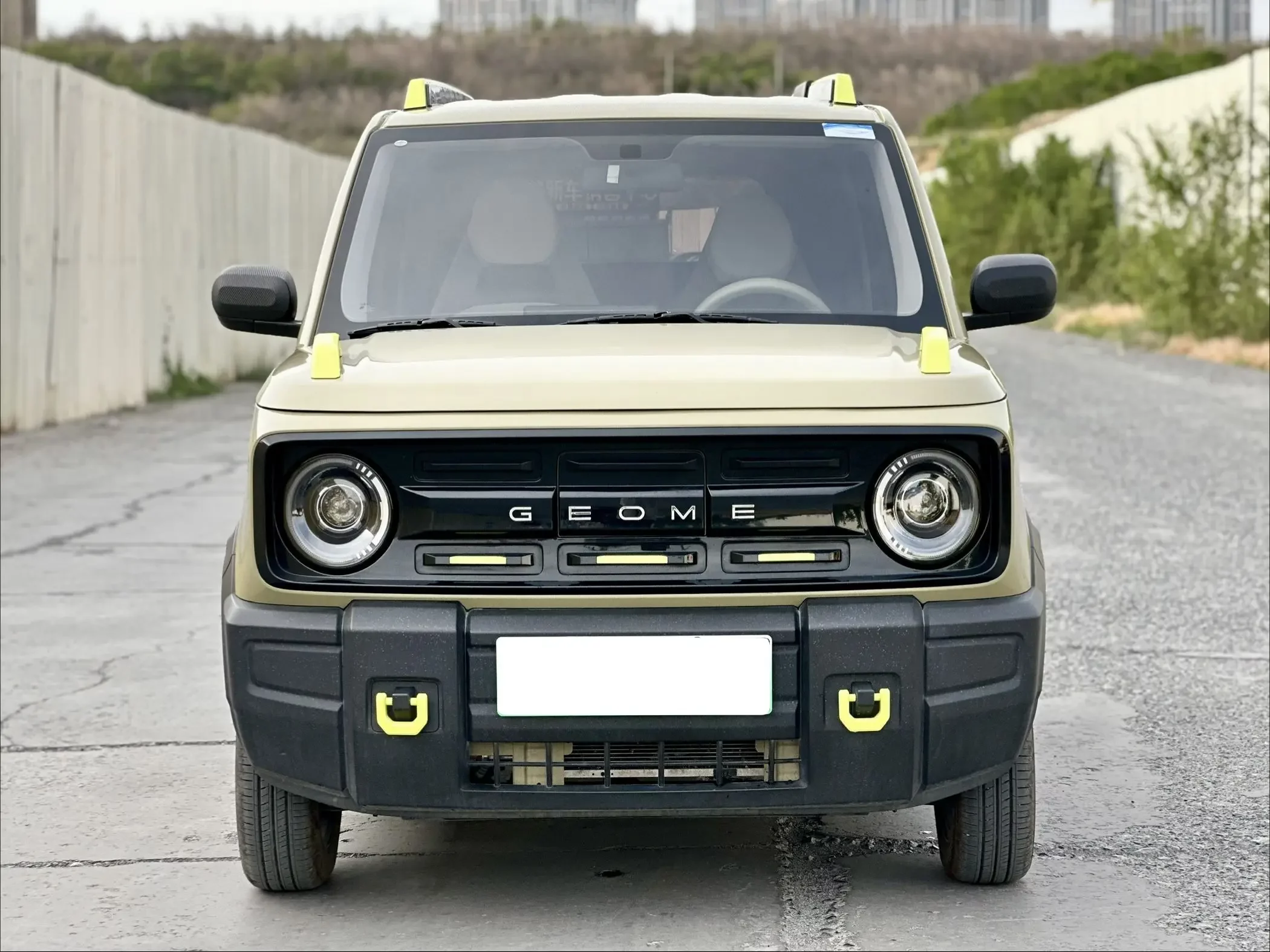 Geely panda