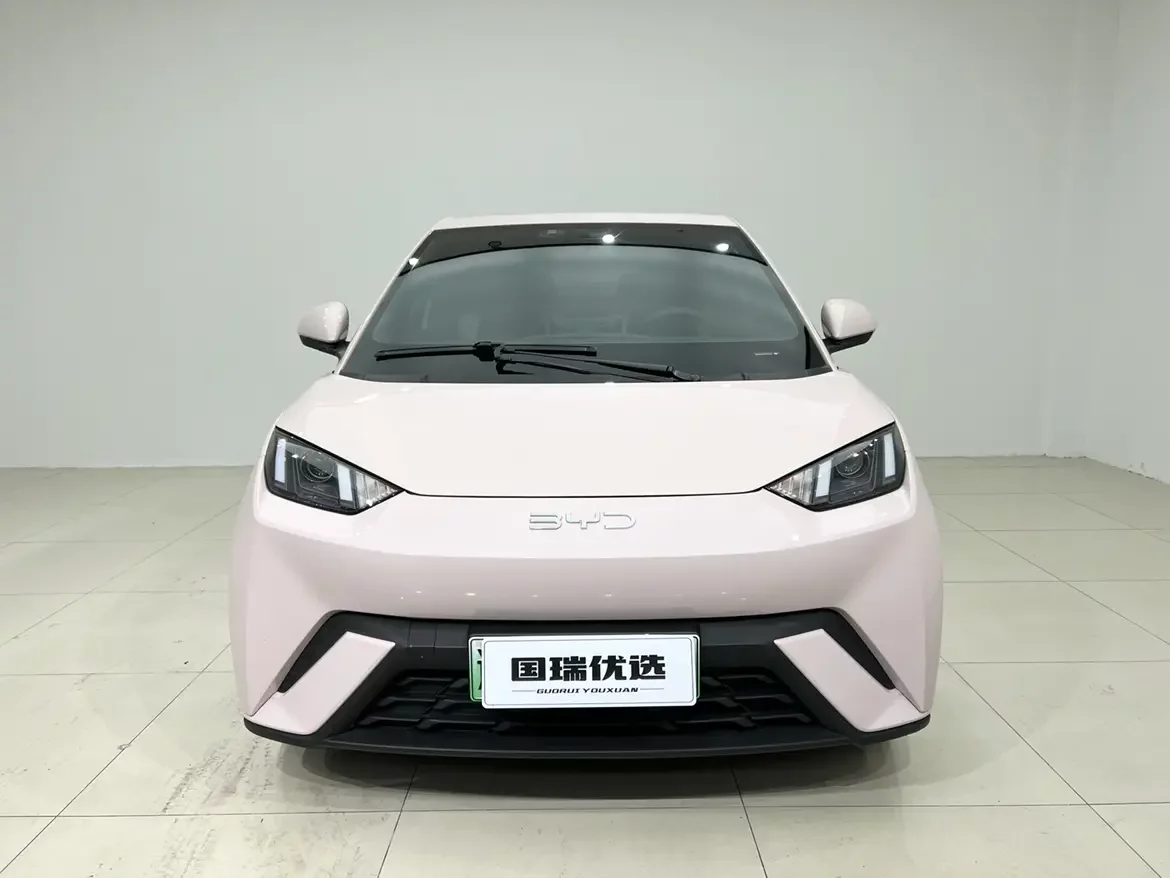 BYD seagull