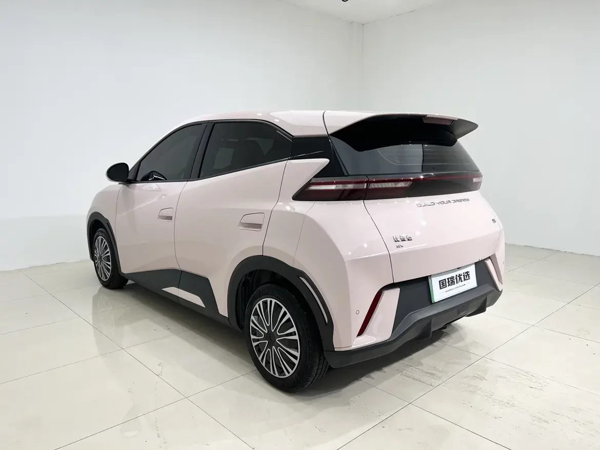 BYD seagull