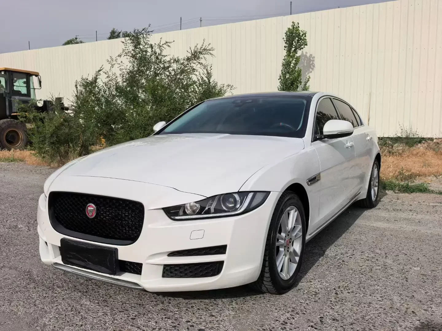Jaguar XEL