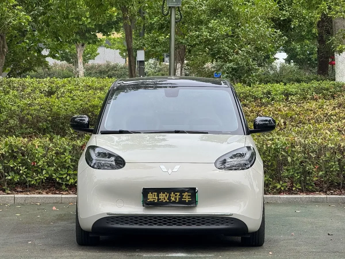 Wuling Bingo