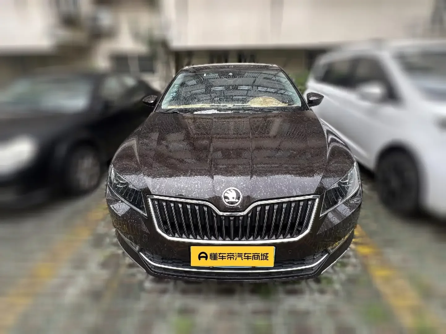 Skoda Speedy