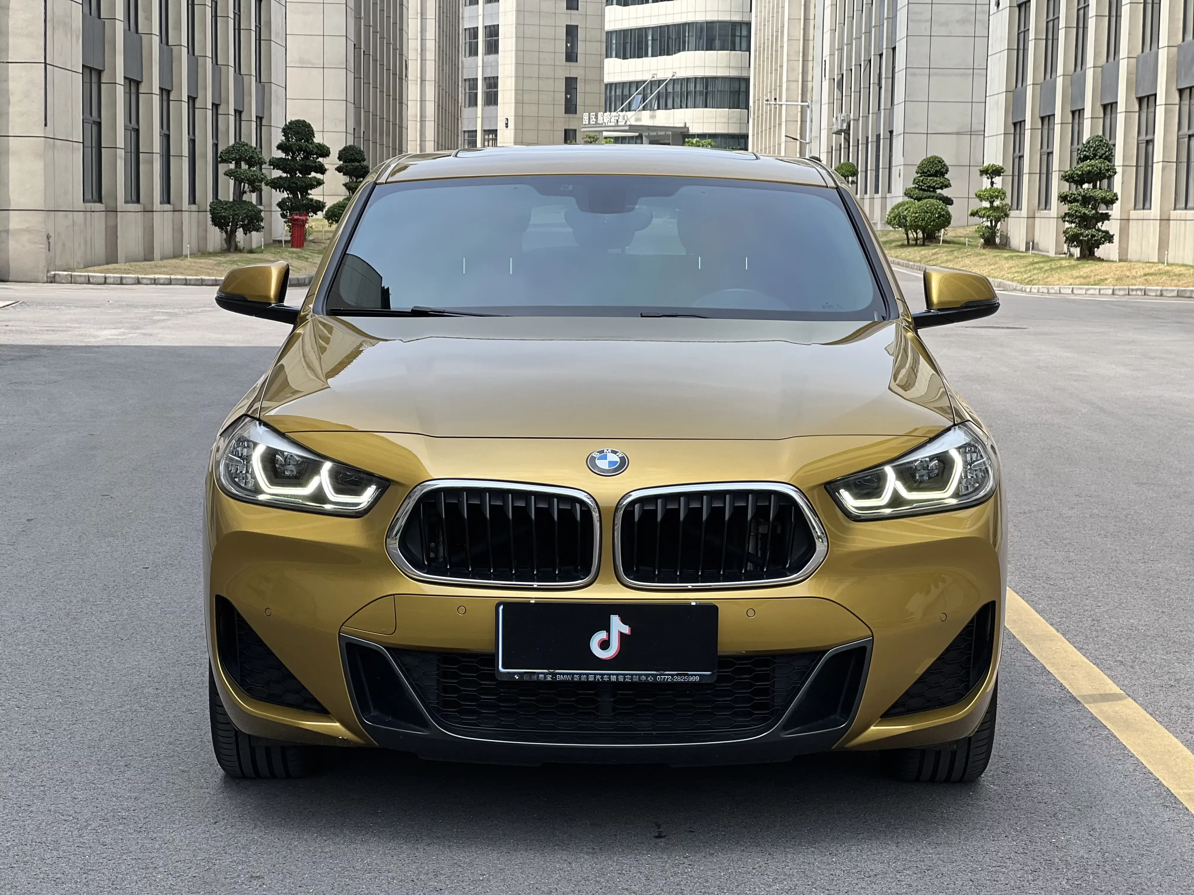 BMW X2