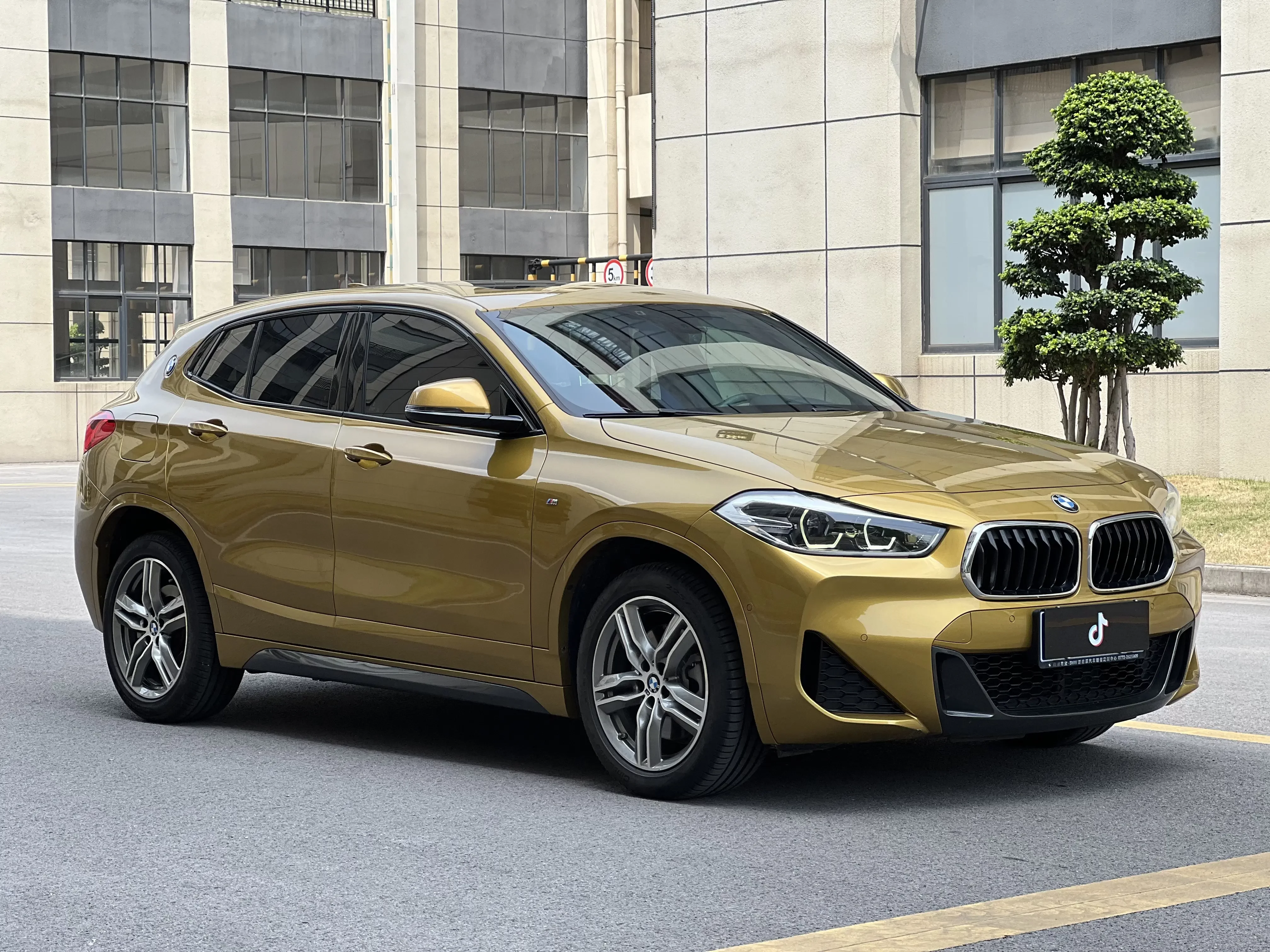 BMW X2
