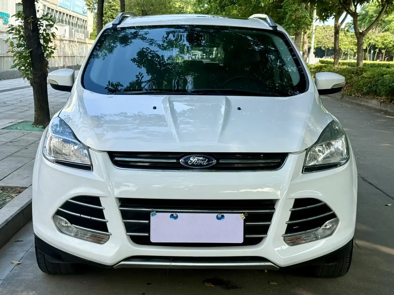 Ford wing tiger
