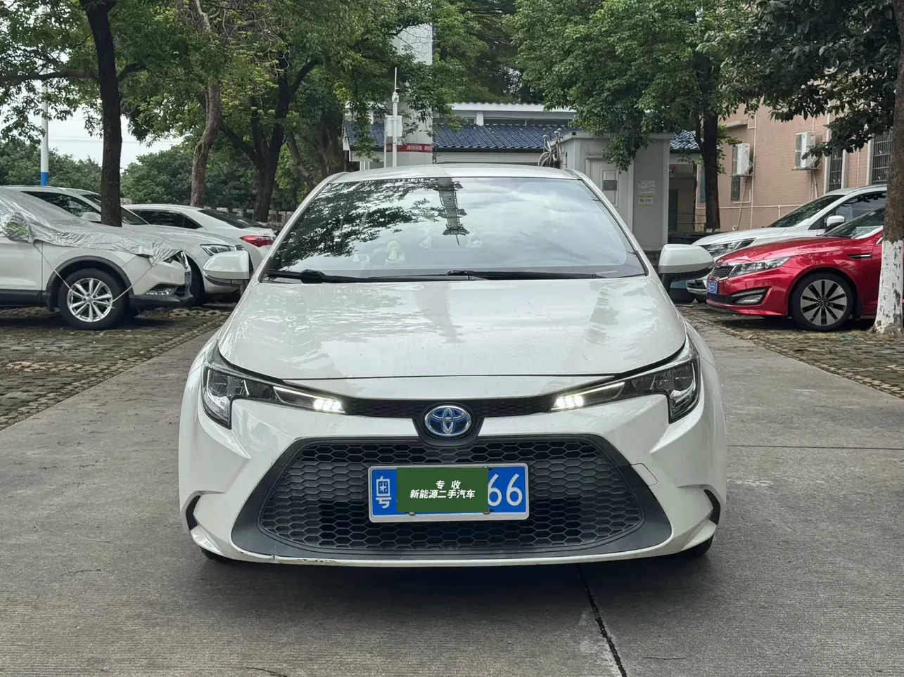 Toyota Levin