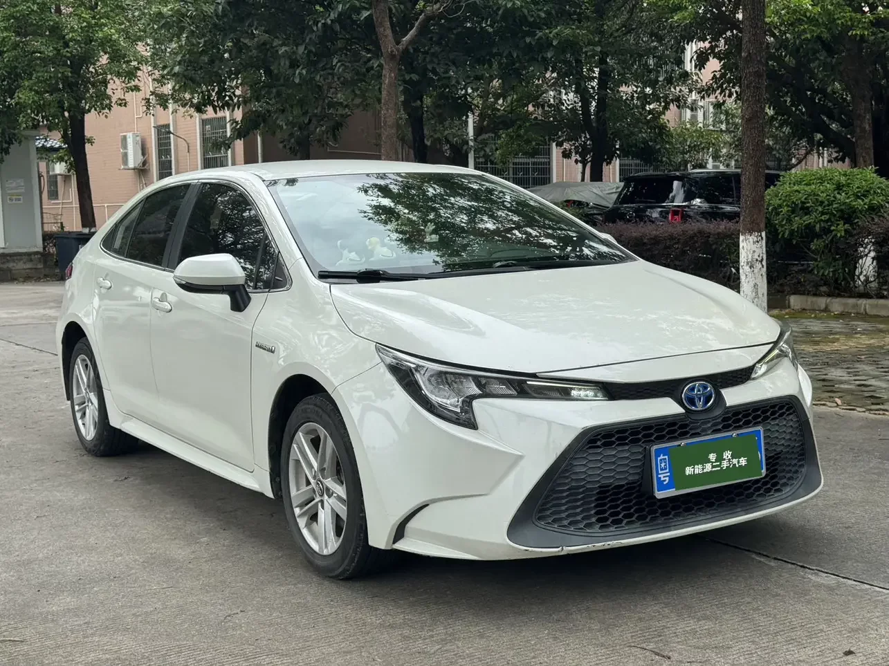 Toyota Levin