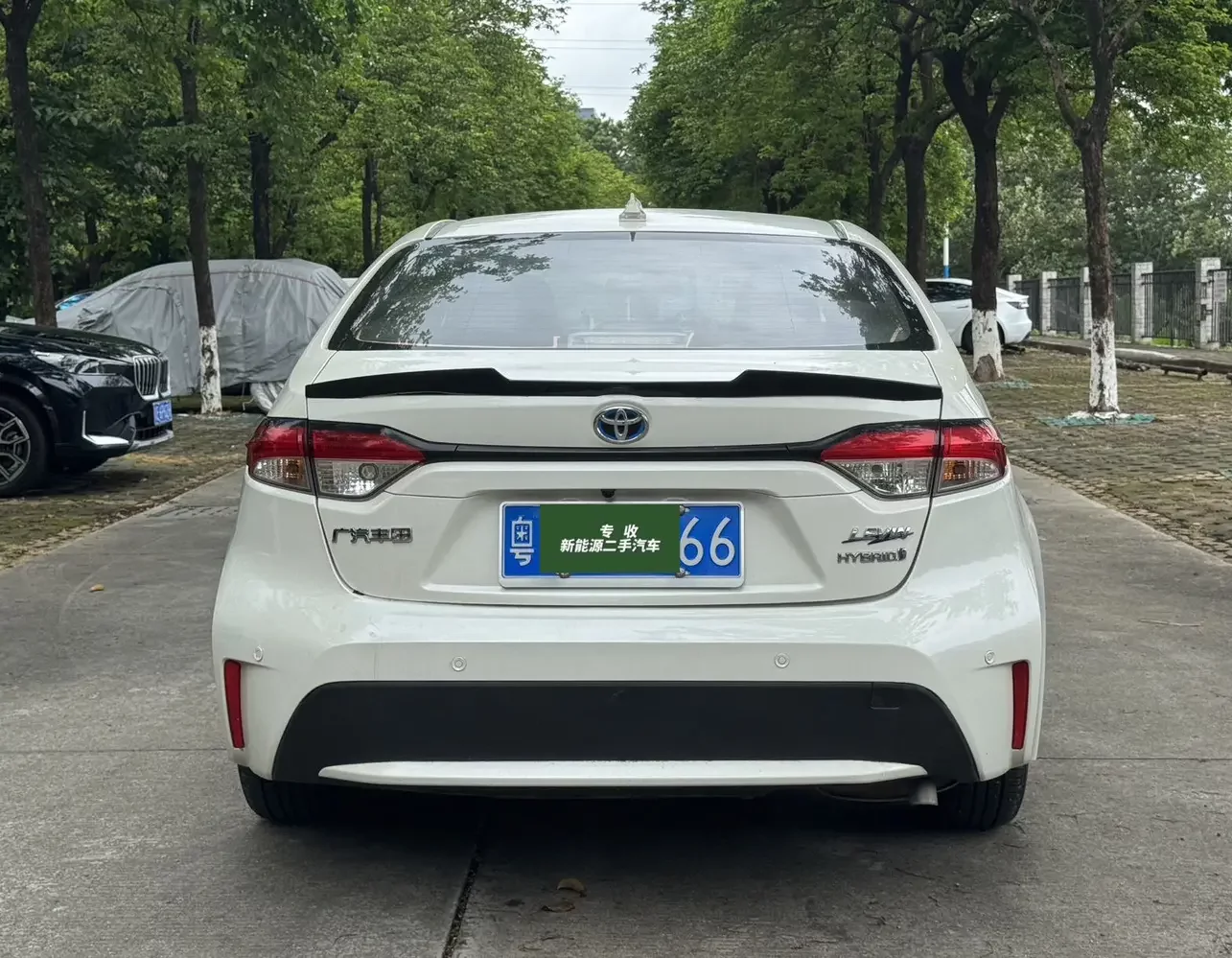 Toyota Levin