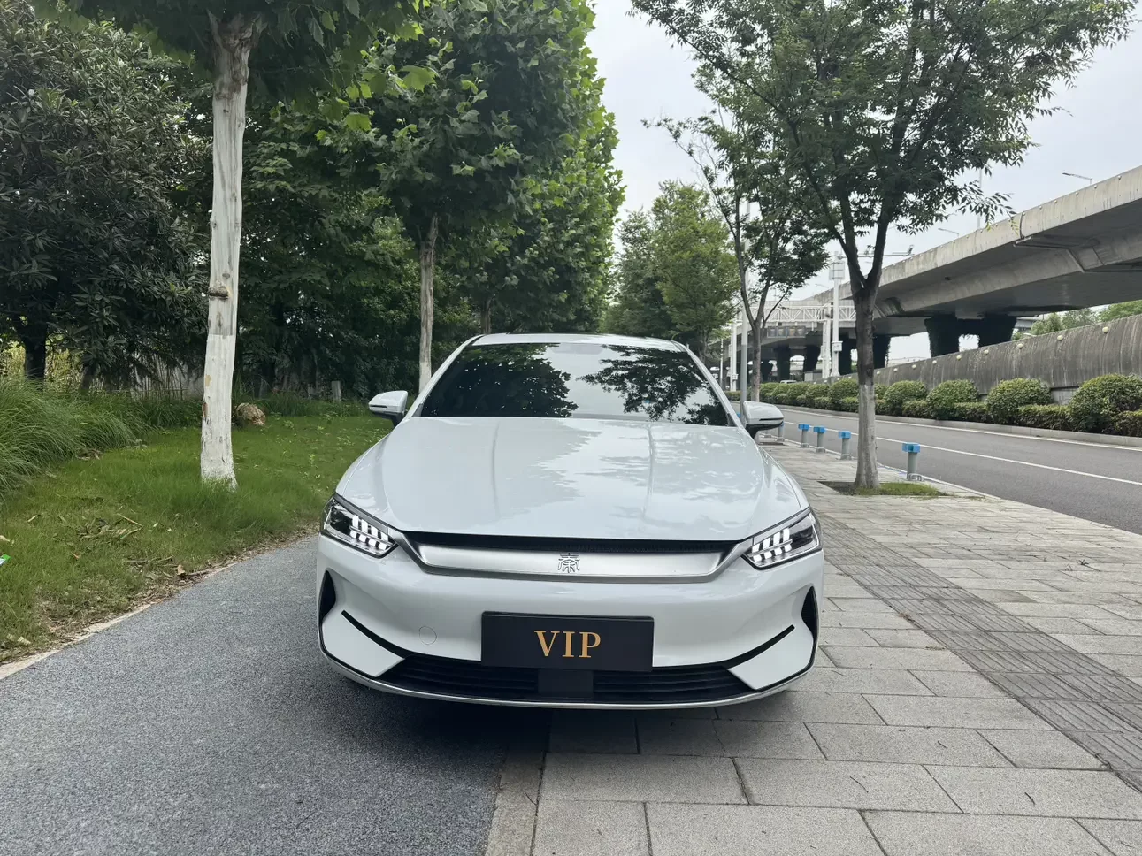 BYD Qin PLUS EV