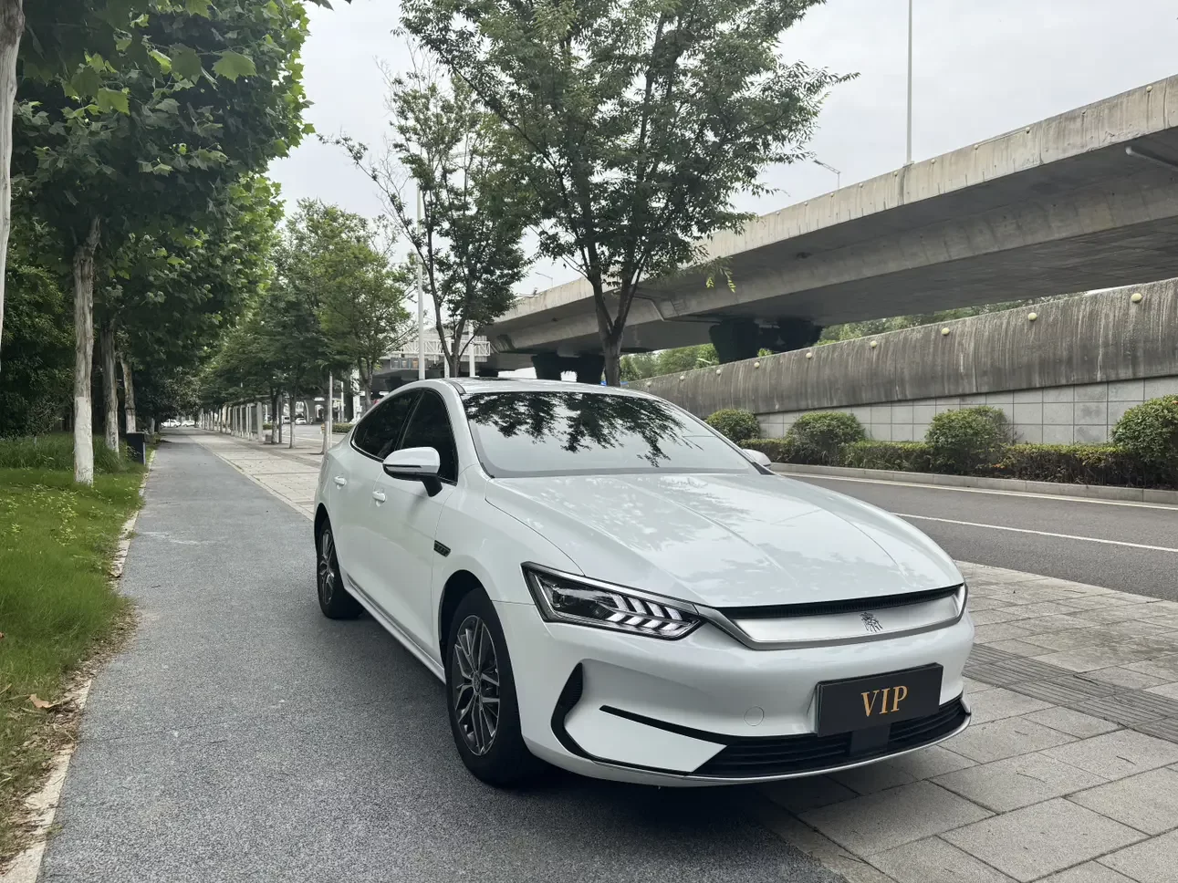 BYD Qin PLUS EV