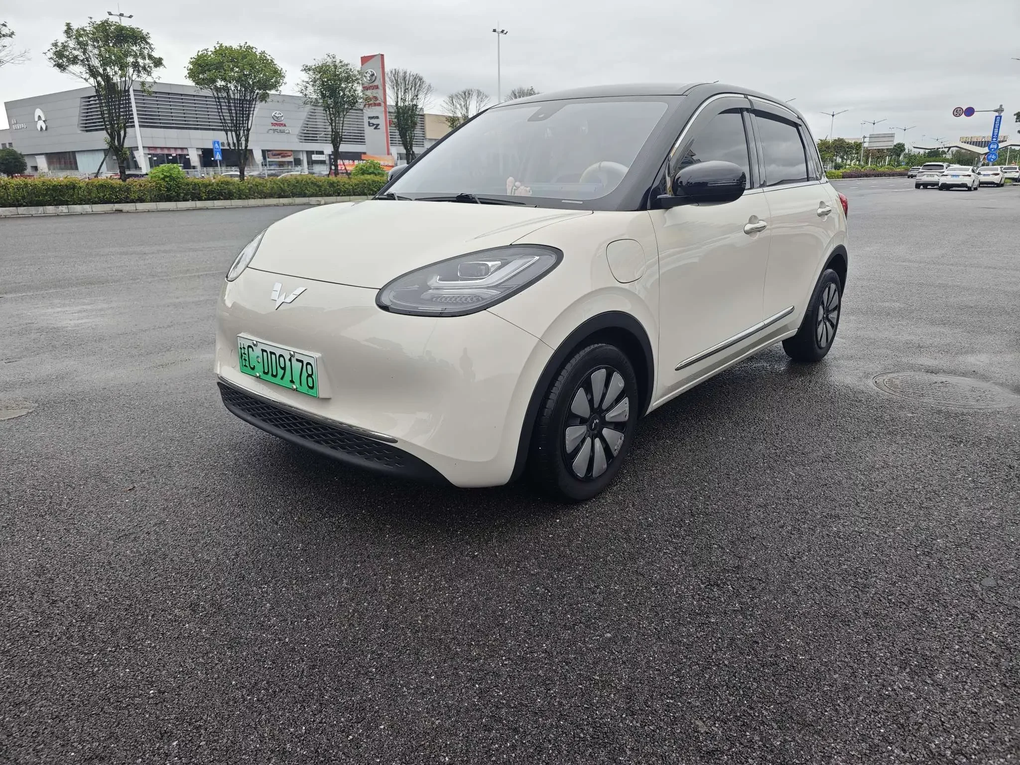 Wuling Bingo