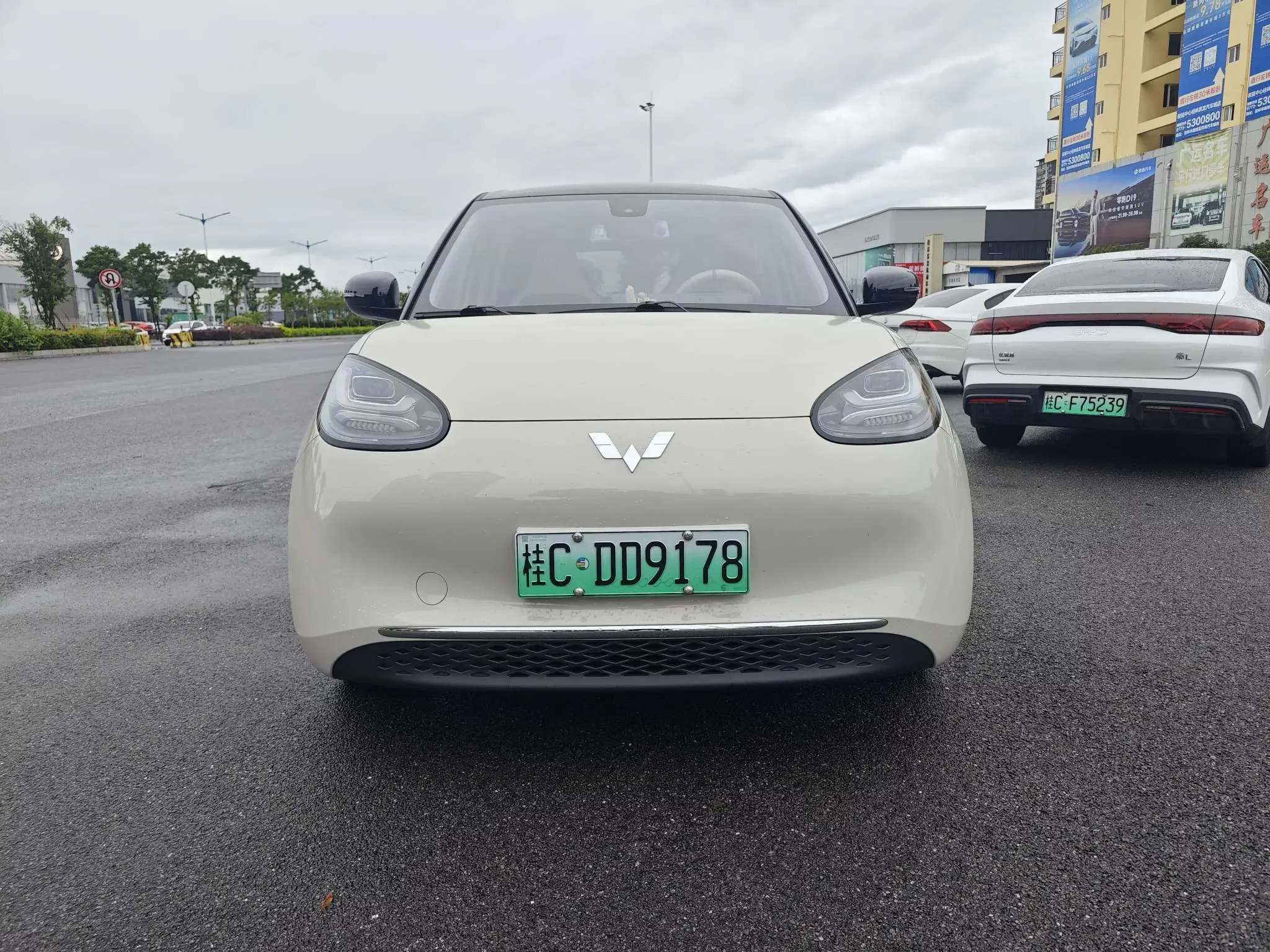 Wuling Bingo