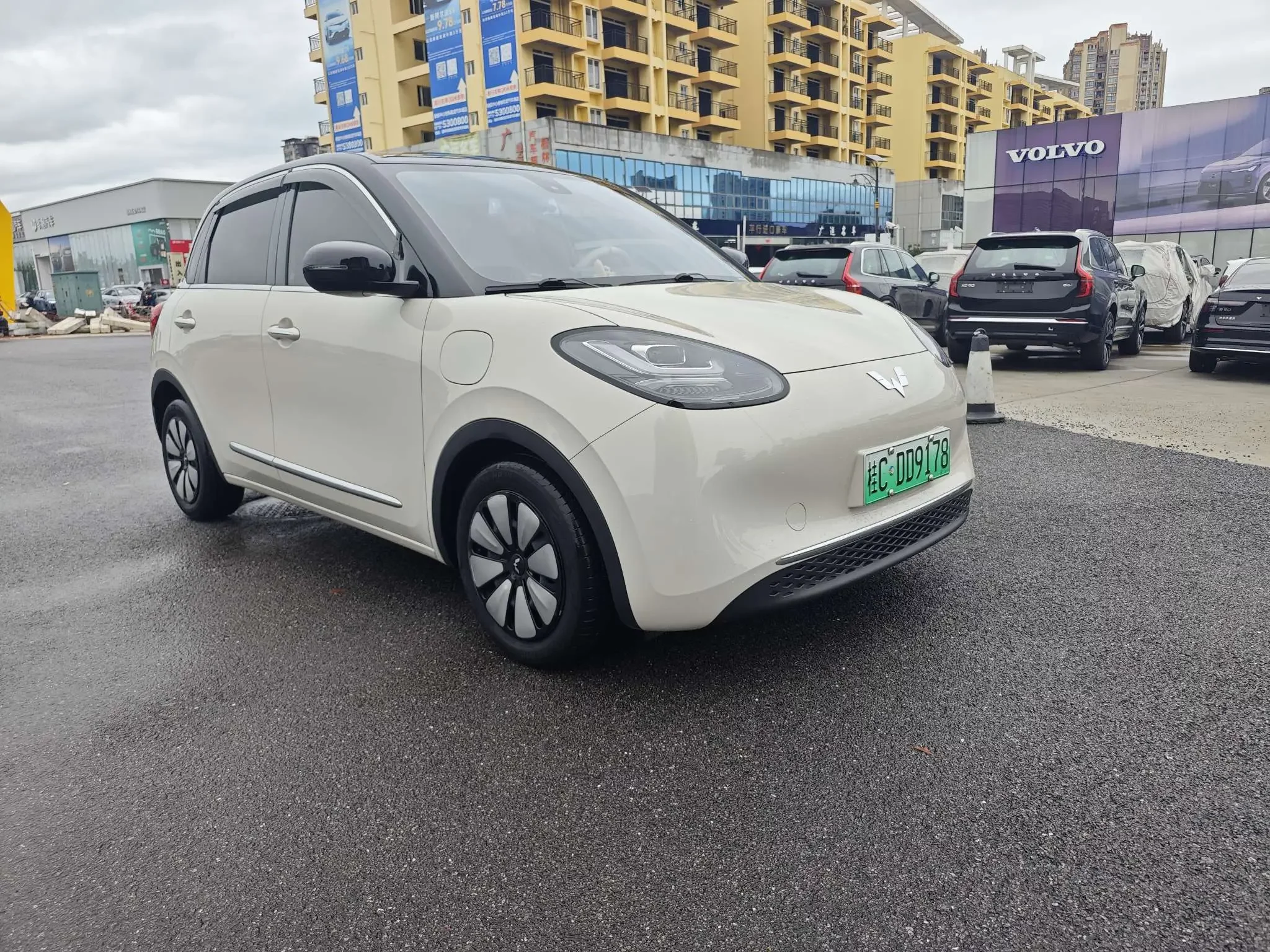 Wuling Bingo