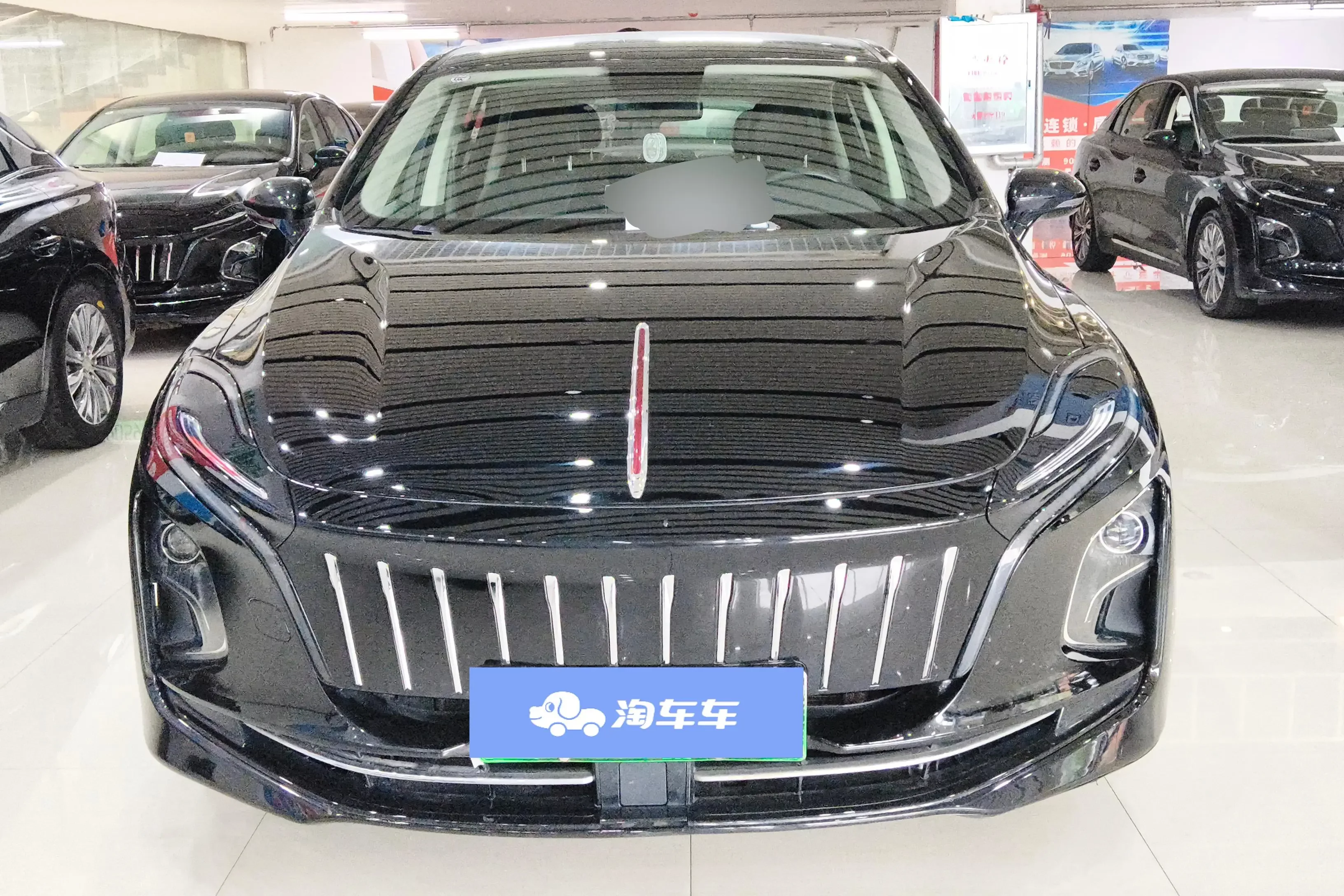 Hongqi E-QM5