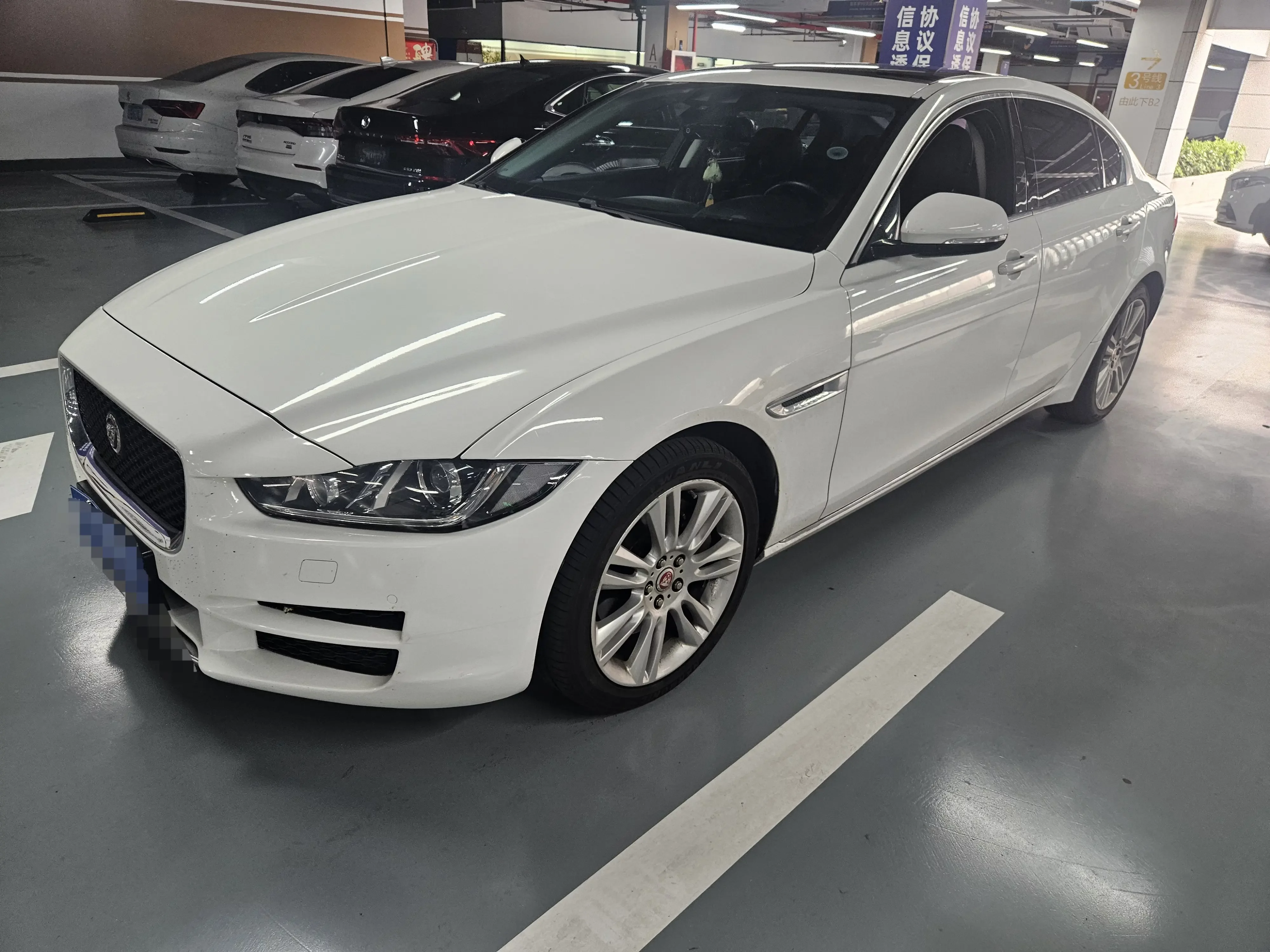 Jaguar XEL