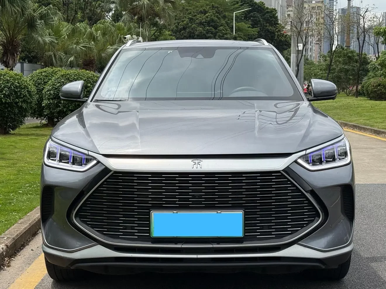 BYD Song PLUS DM