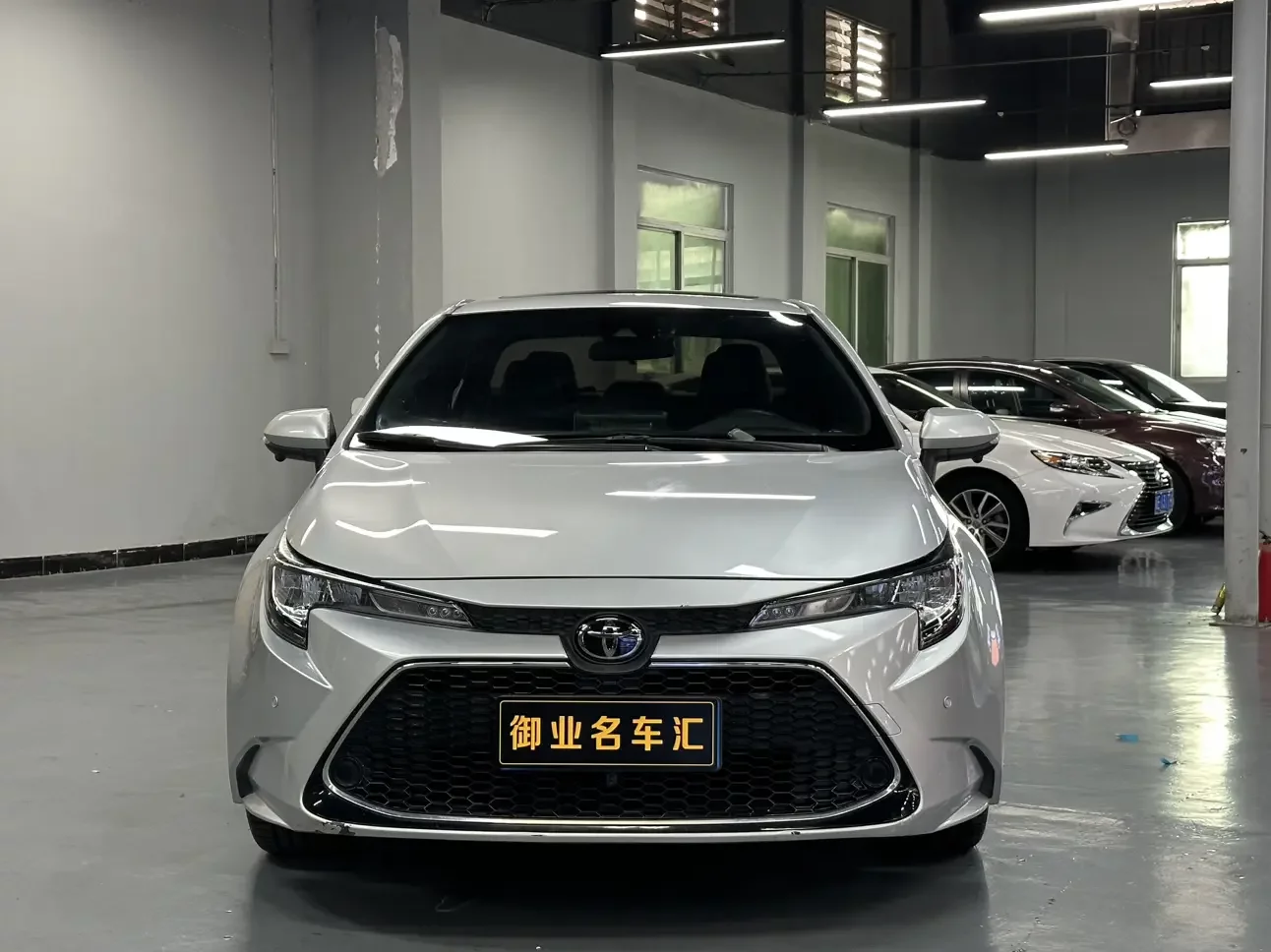Toyota Levin