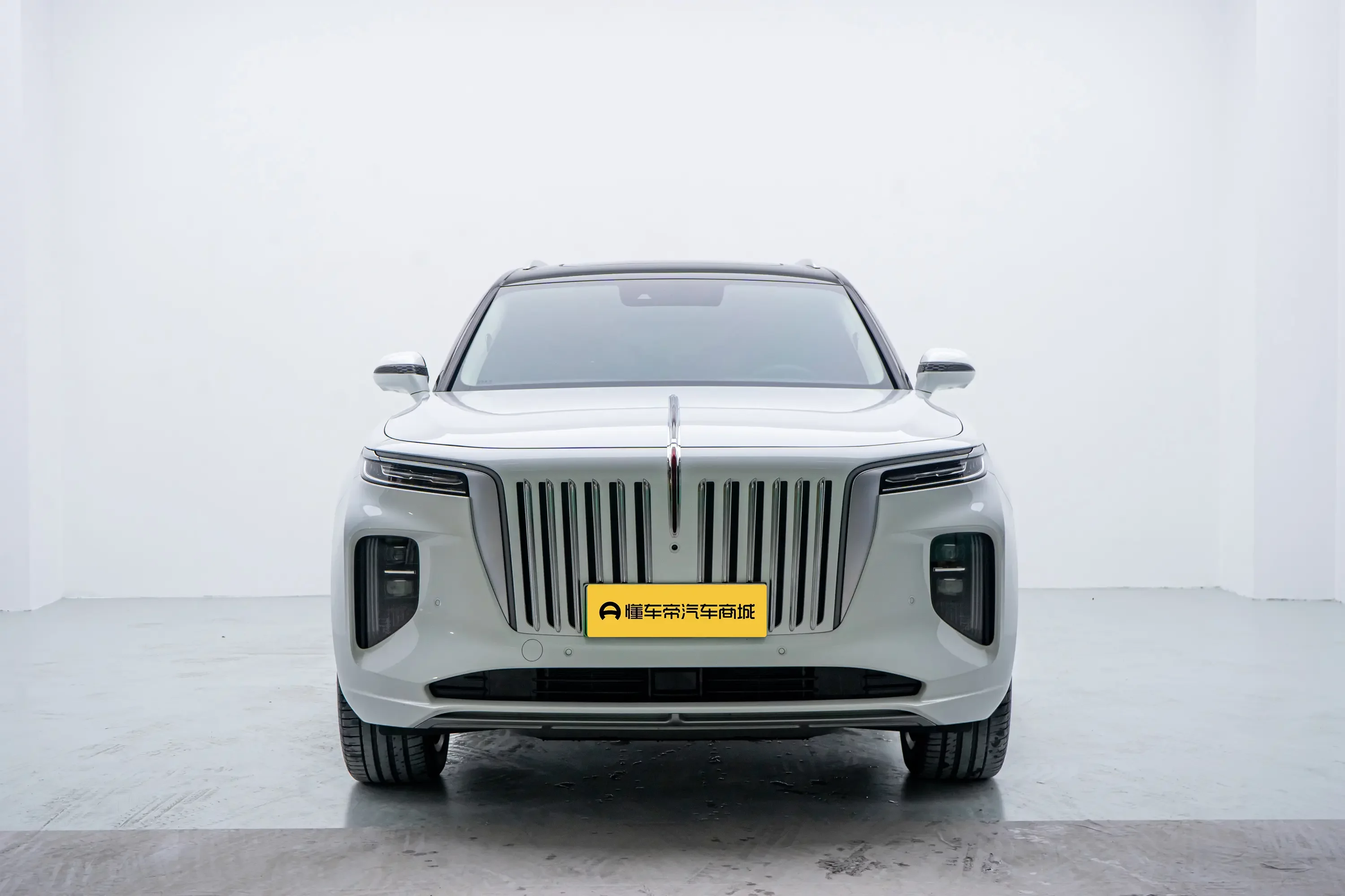 Hongqi E-HS9