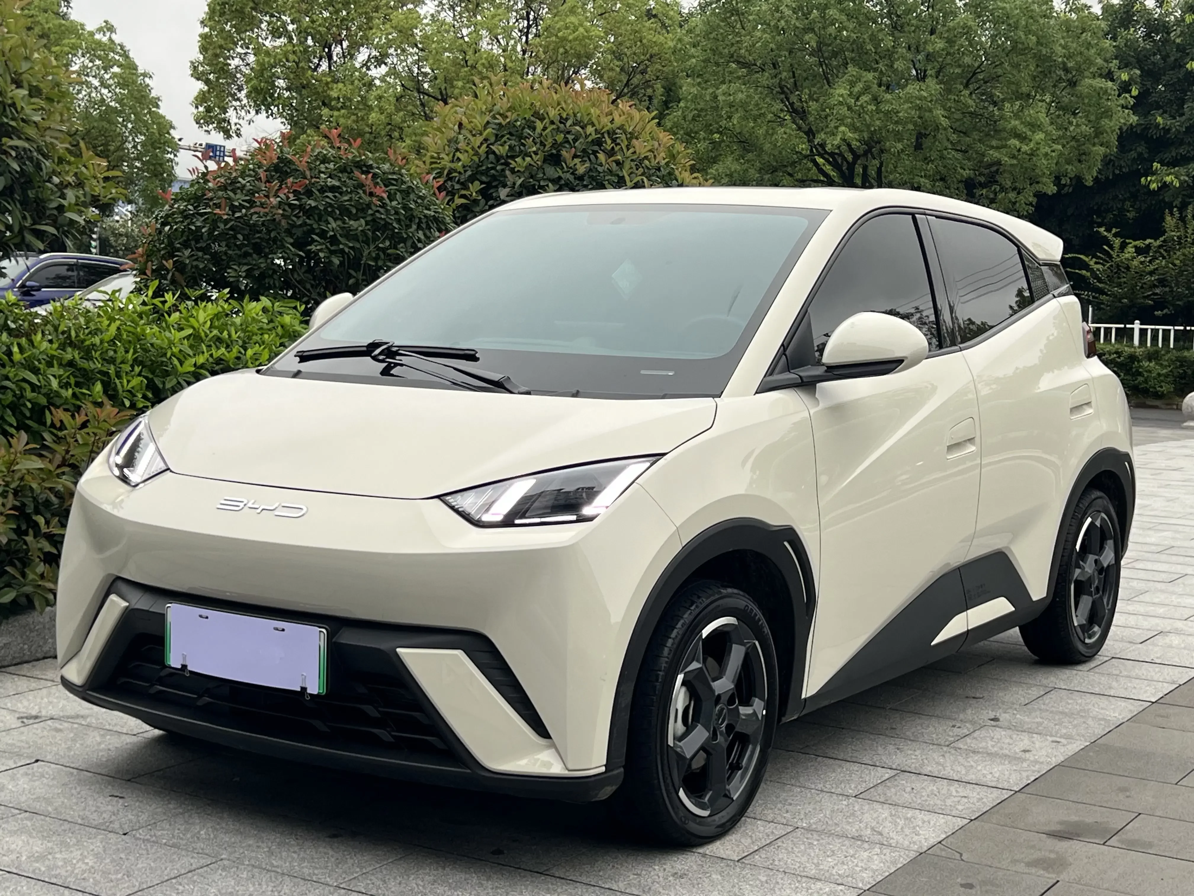 BYD seagull