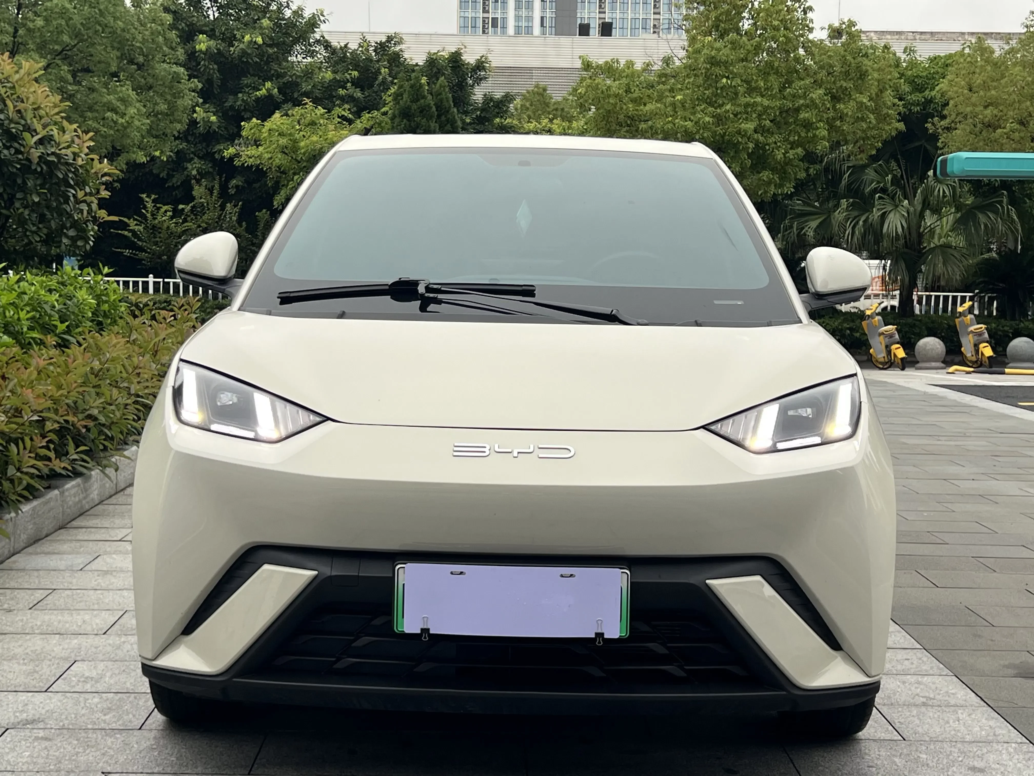 BYD seagull