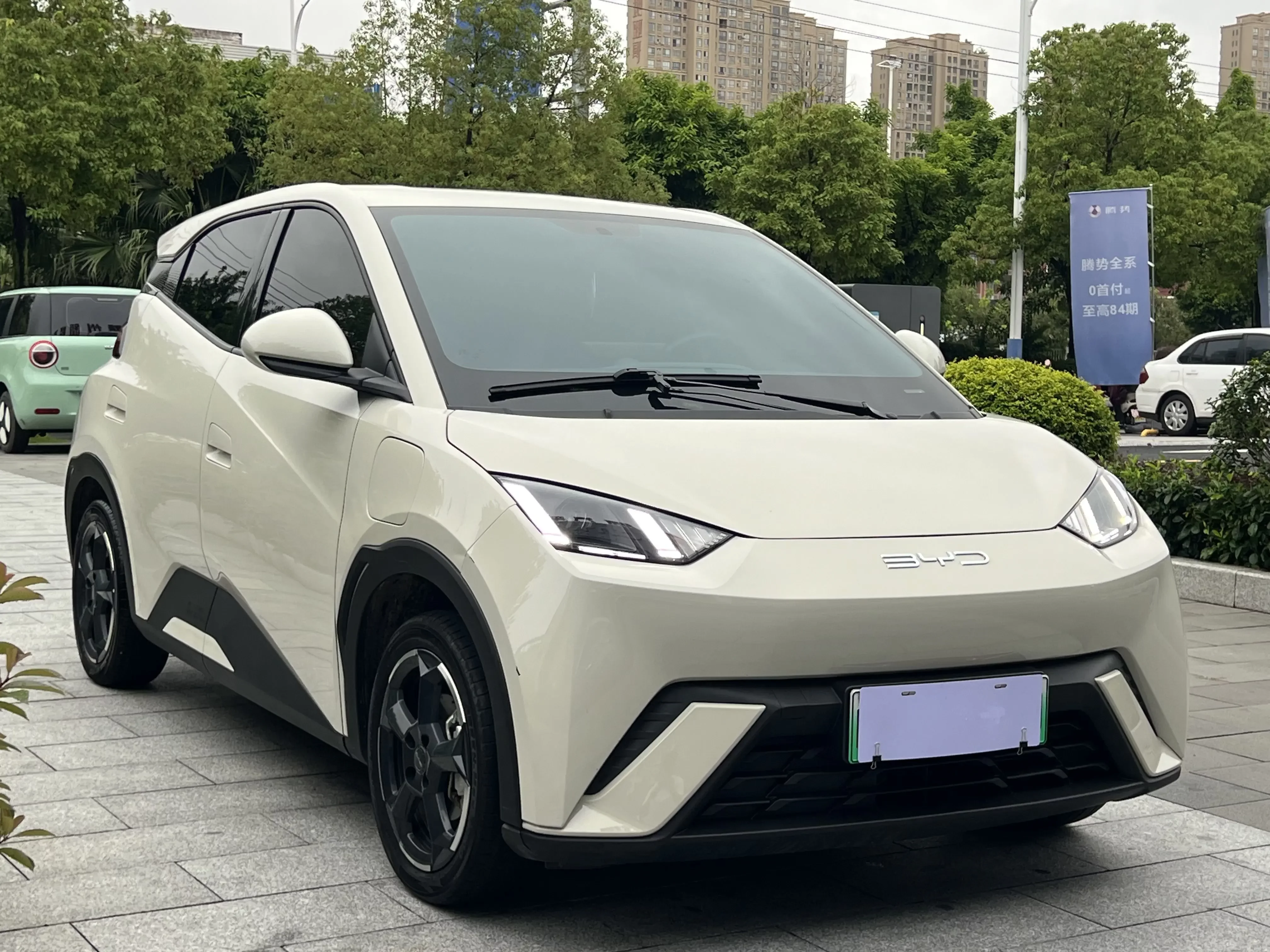 BYD seagull