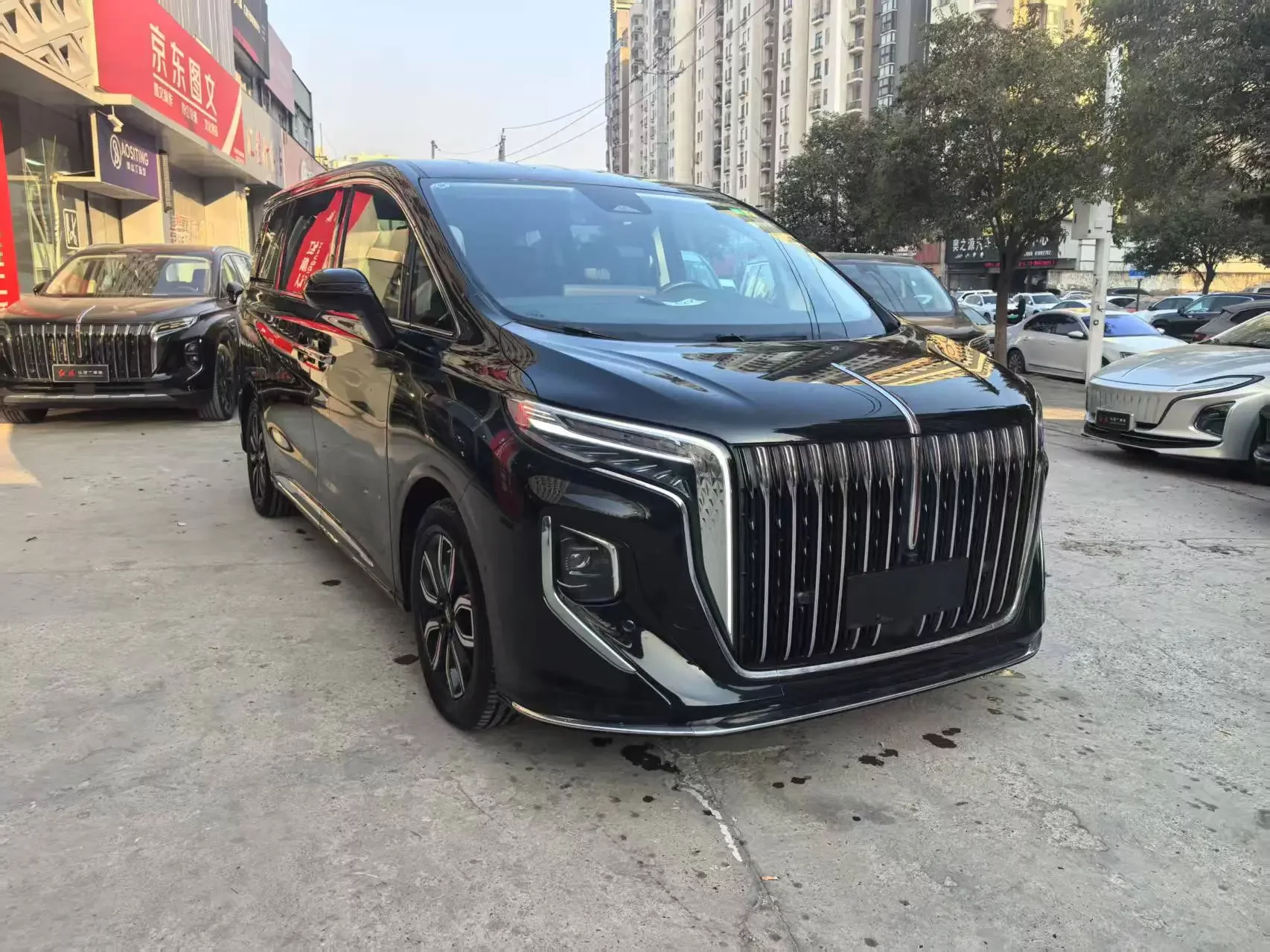 Hongqi HQ9