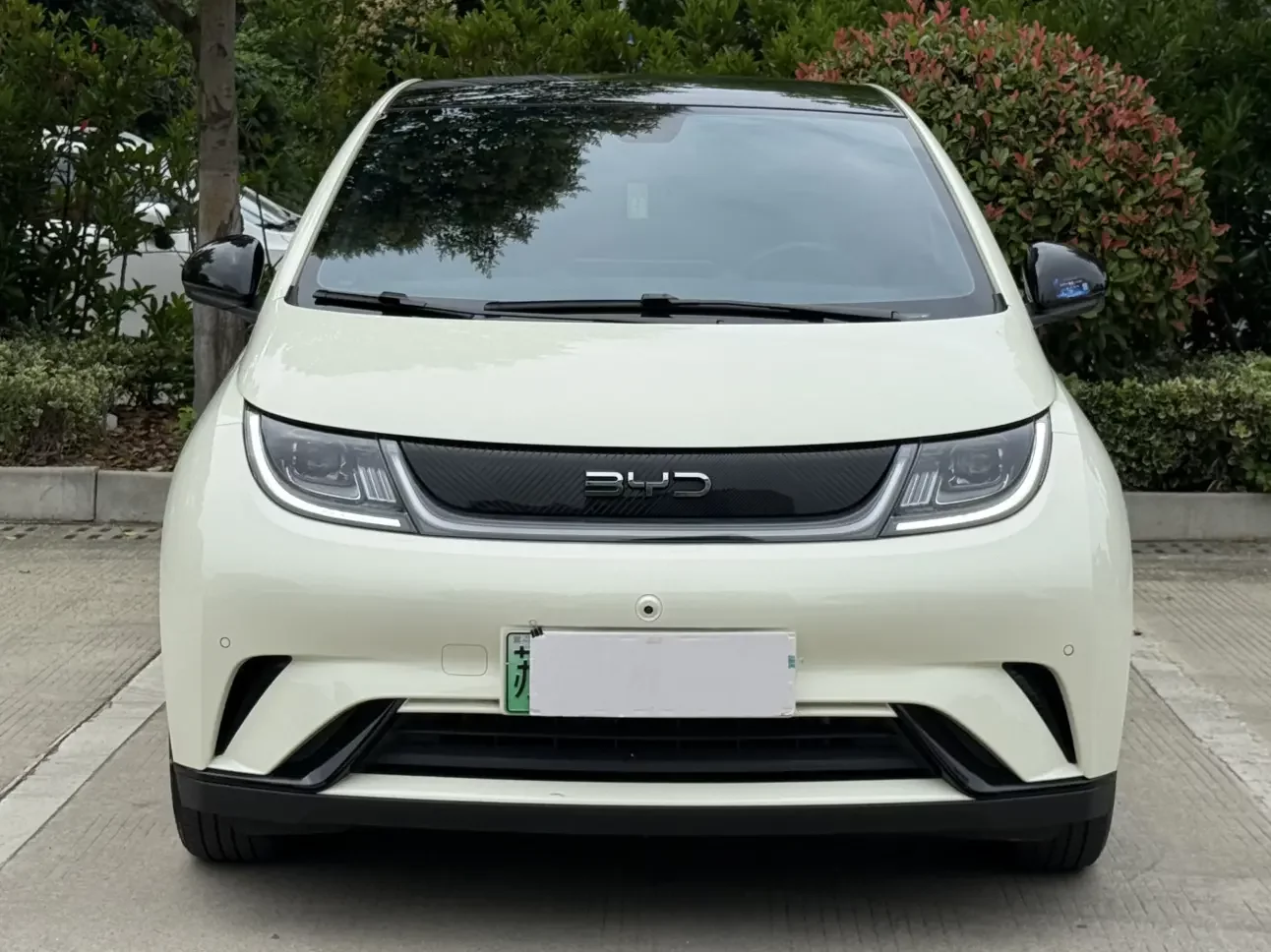BYD dolphin
