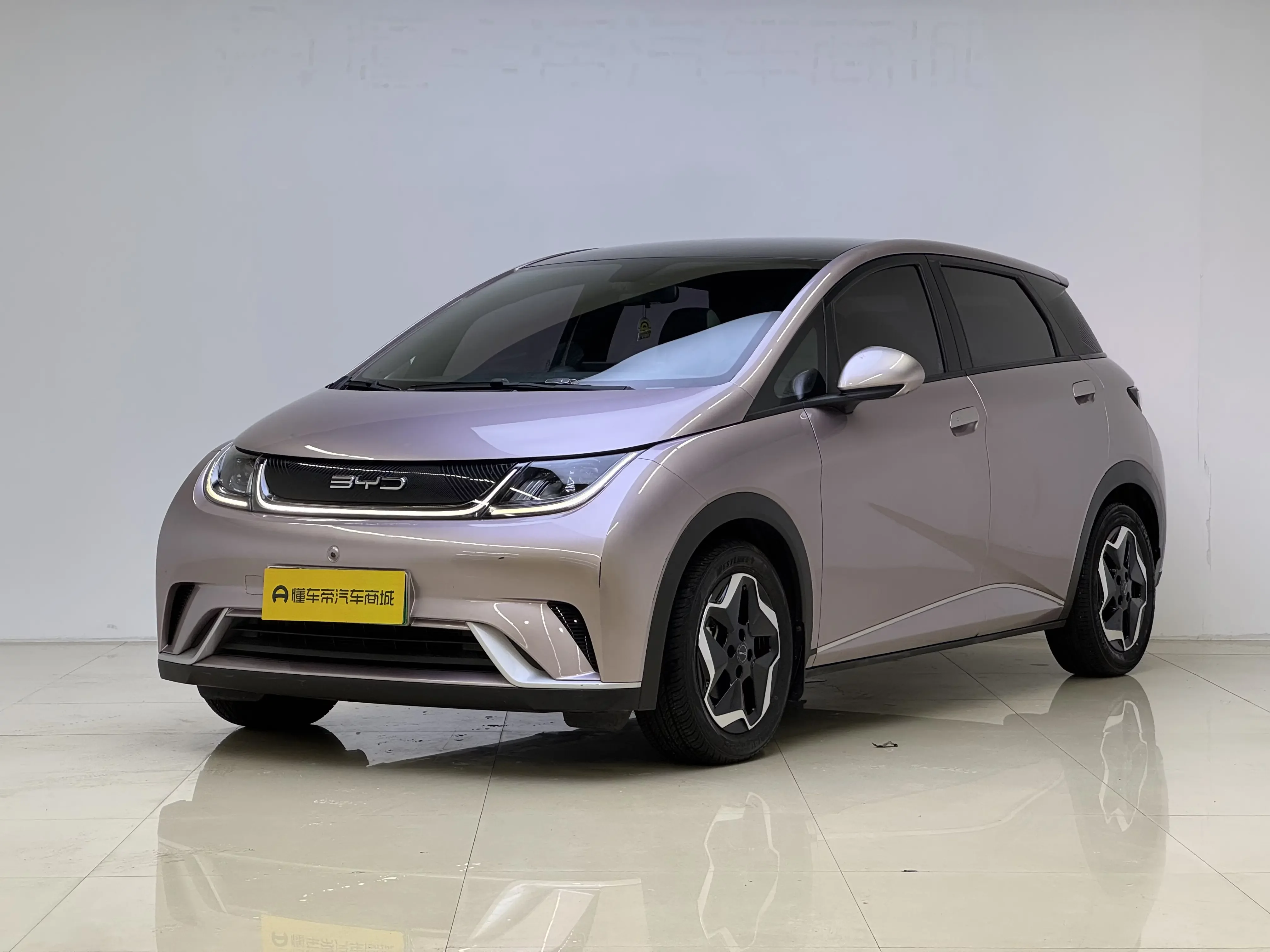 BYD dolphin