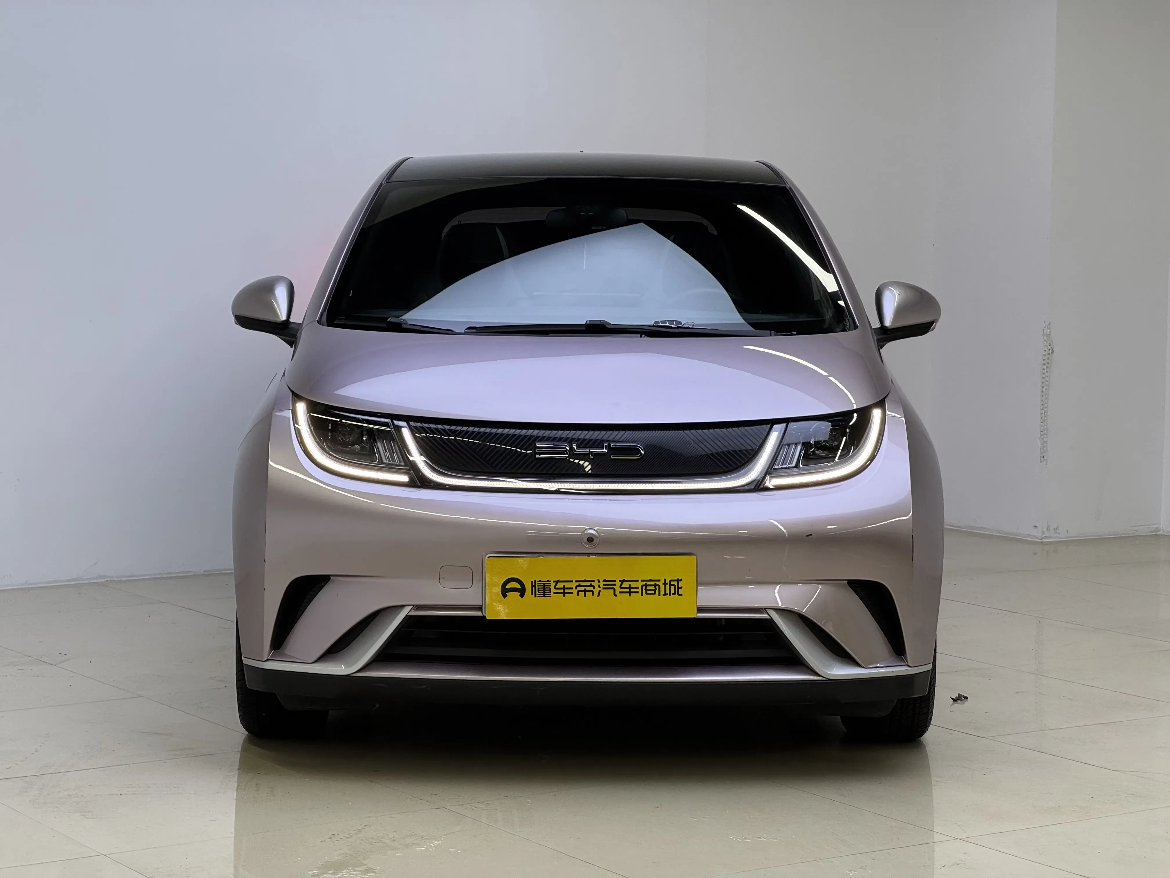 BYD dolphin