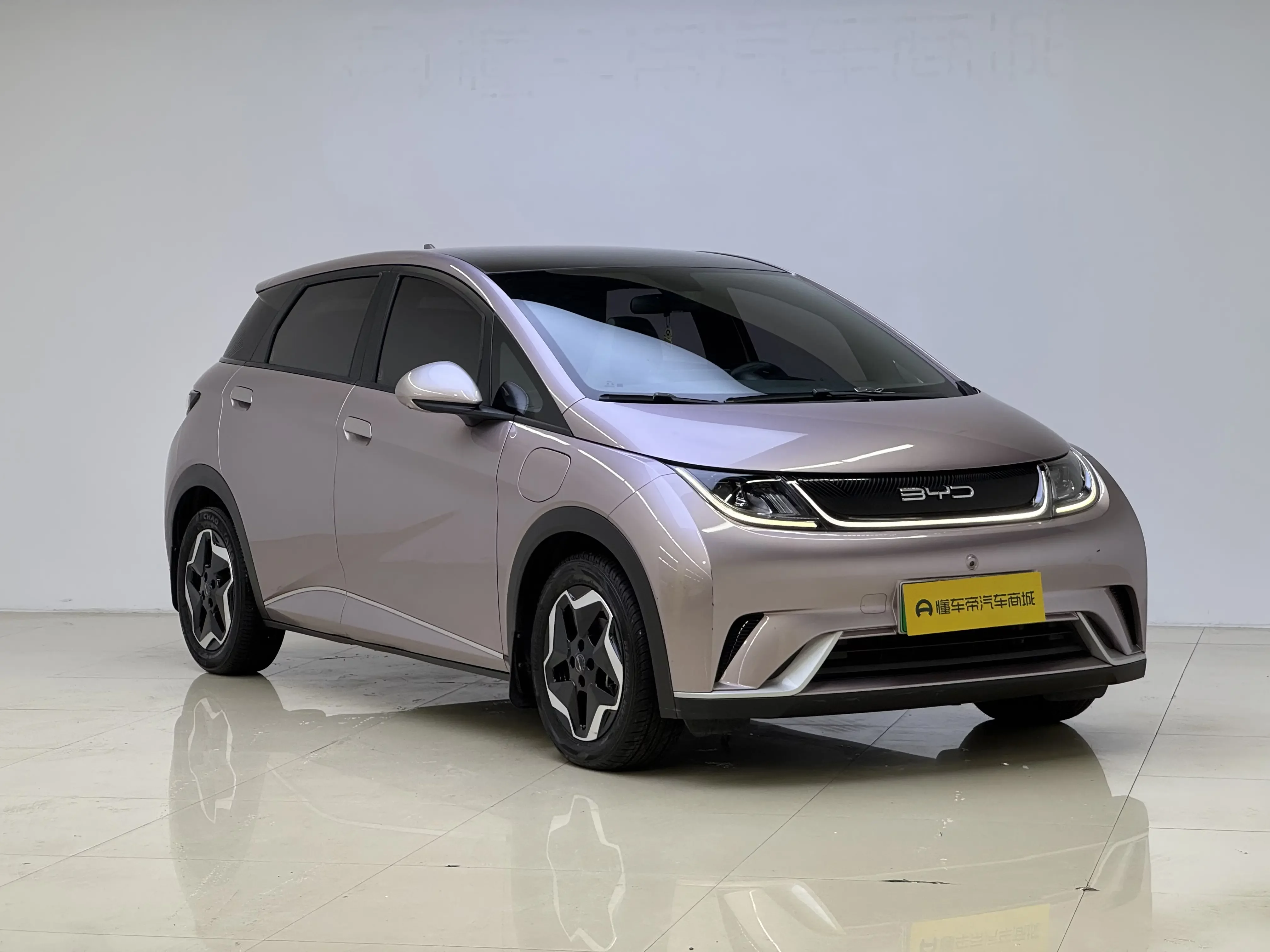 BYD dolphin