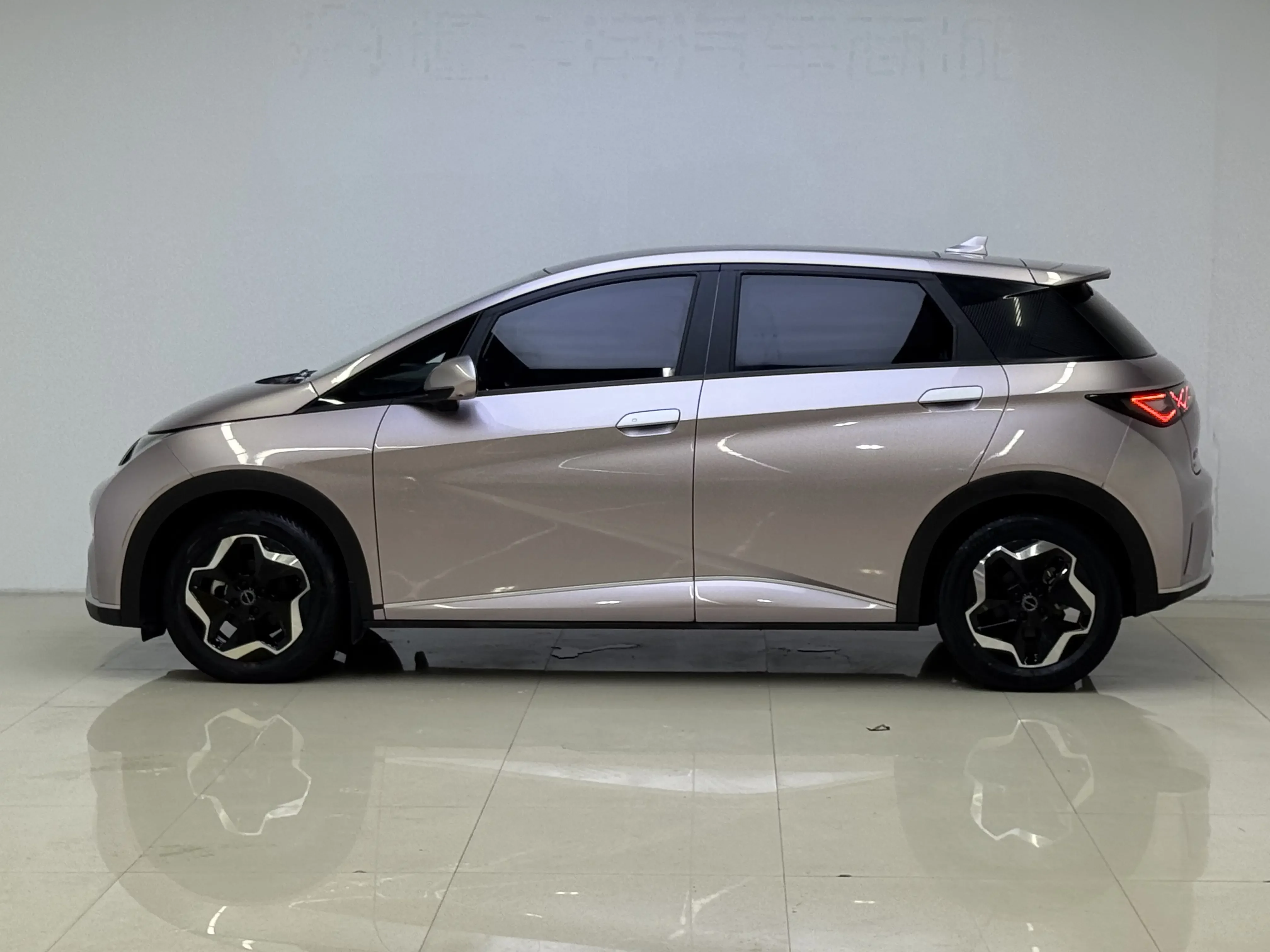 BYD dolphin