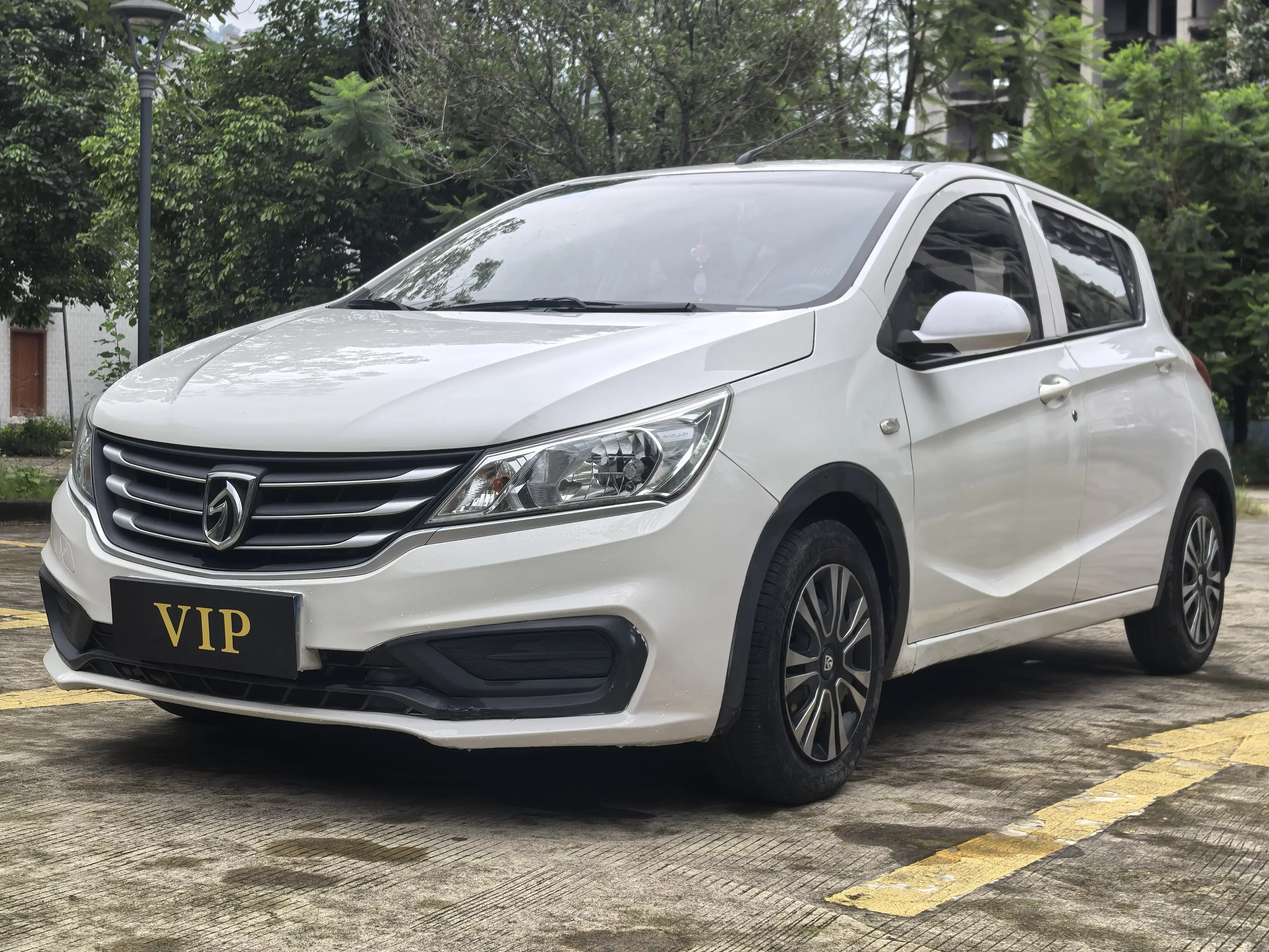 Baojun 310