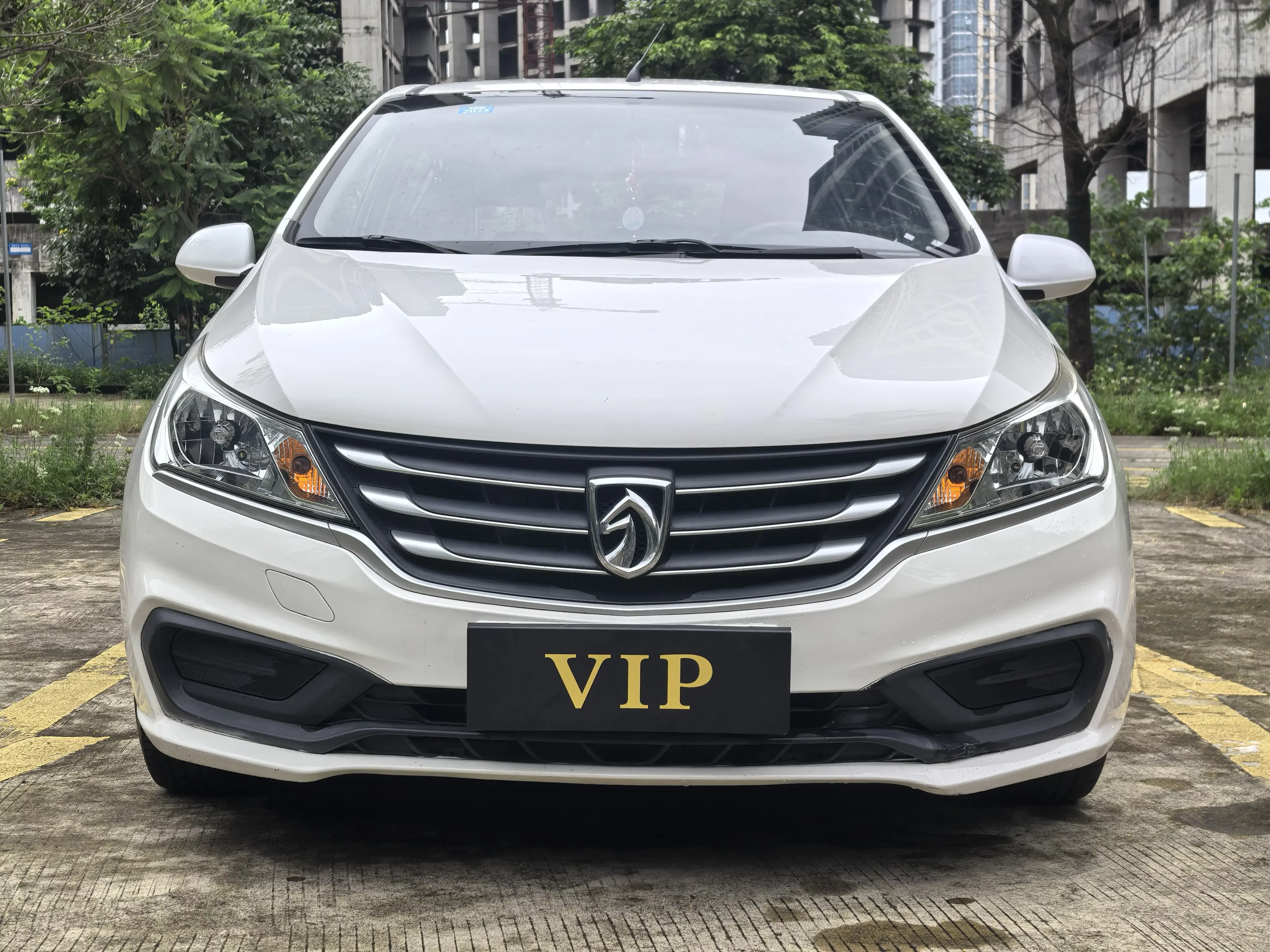 Baojun 310