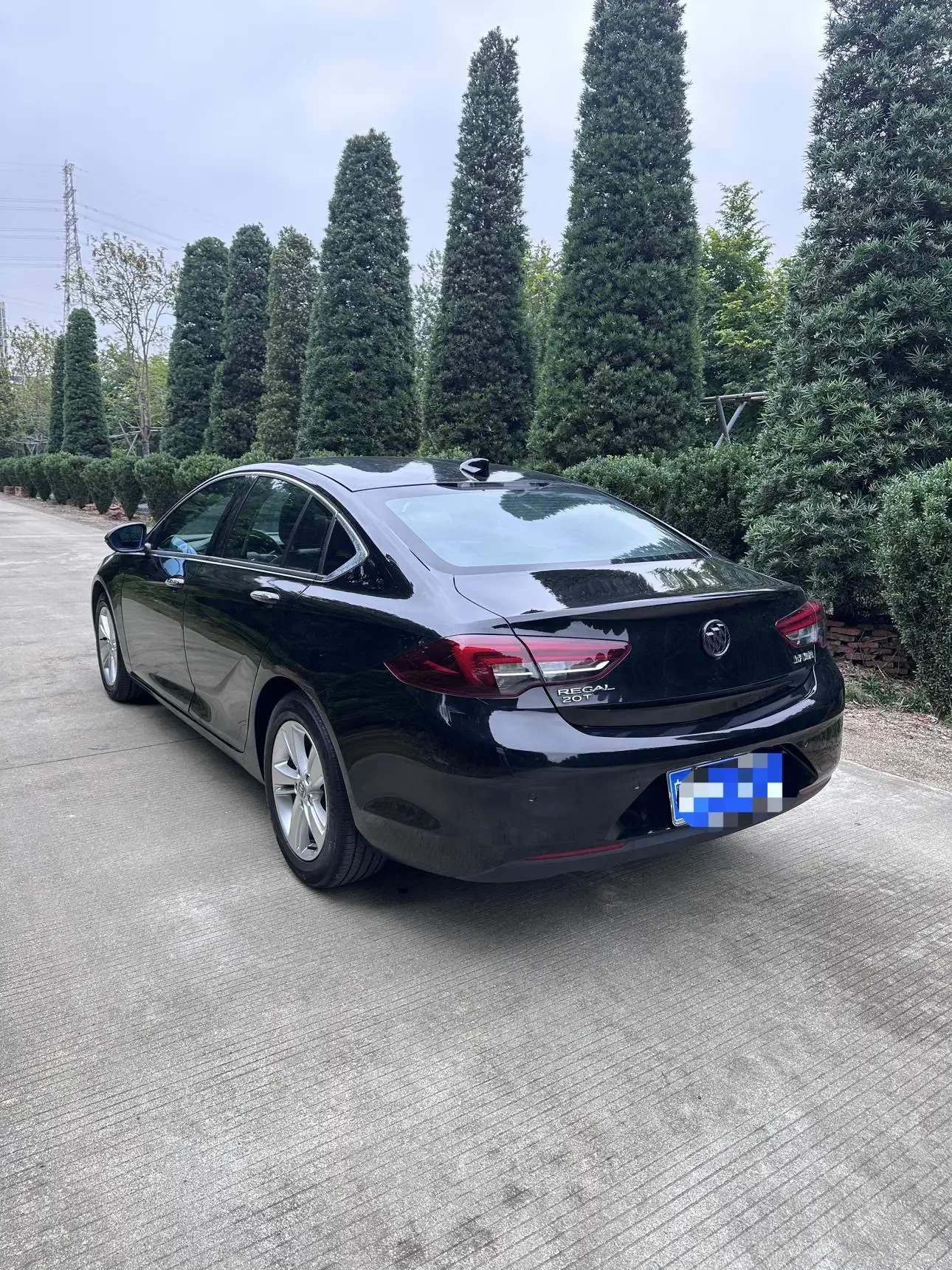 Buick Majesty