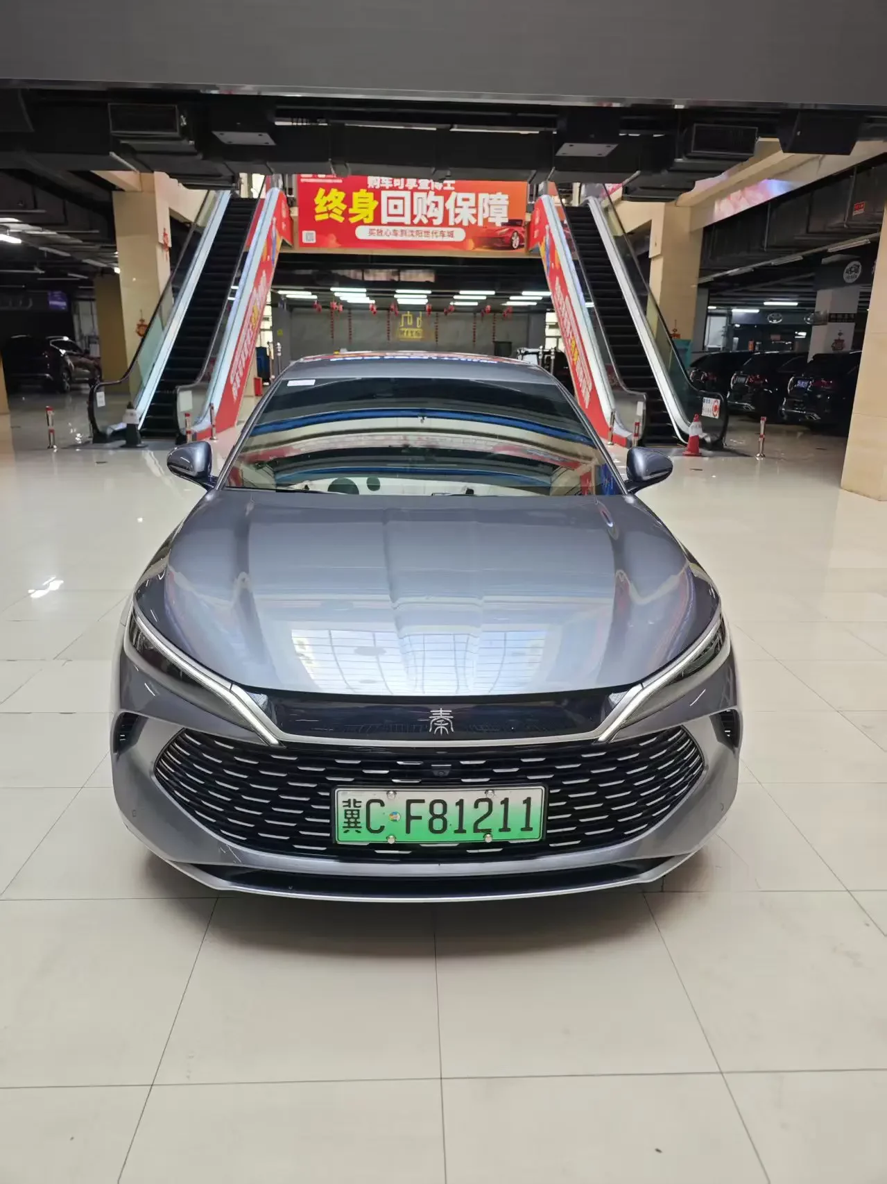 BYD Qin L DM