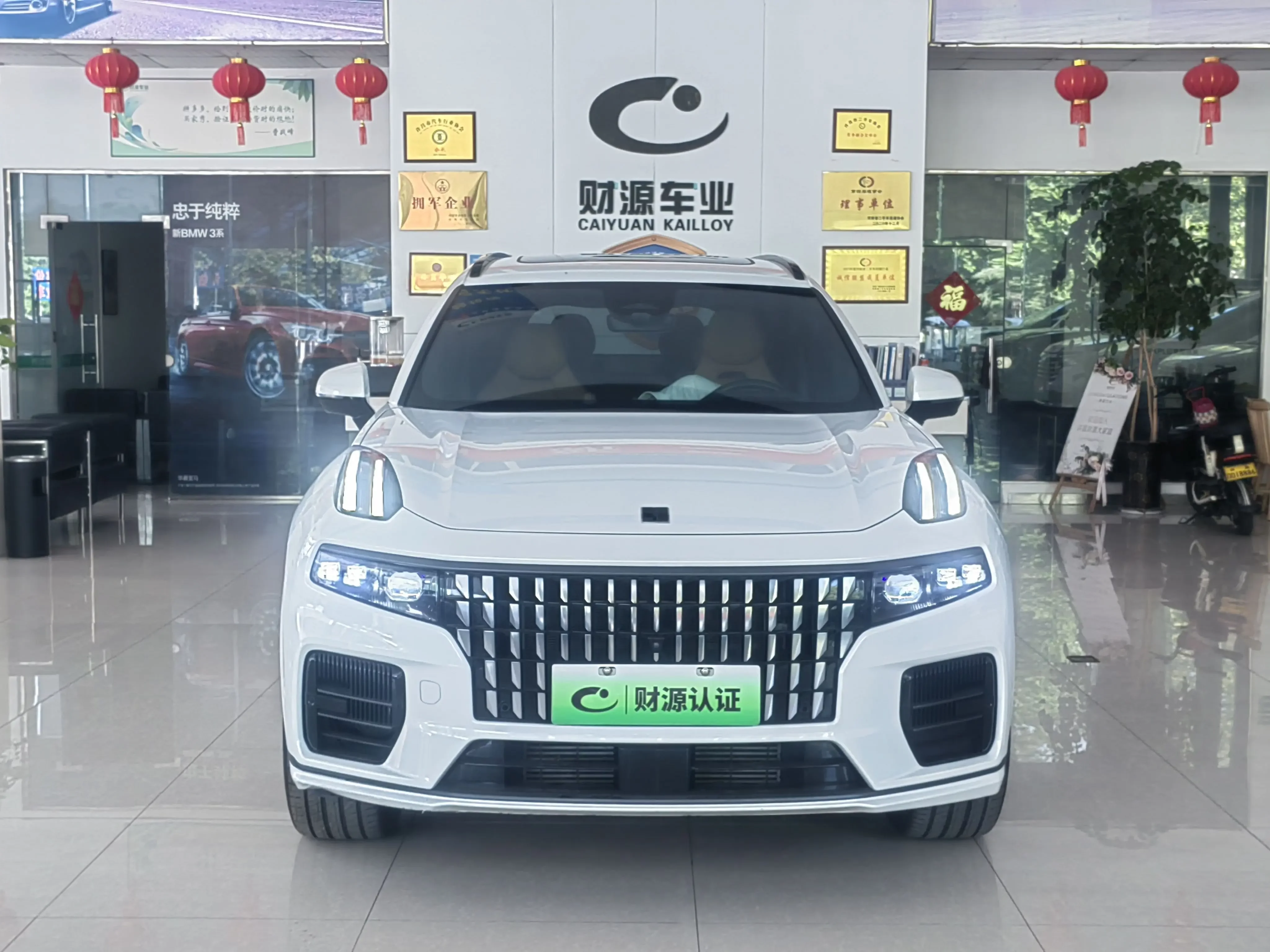 Lynk & Co 09 EM-P