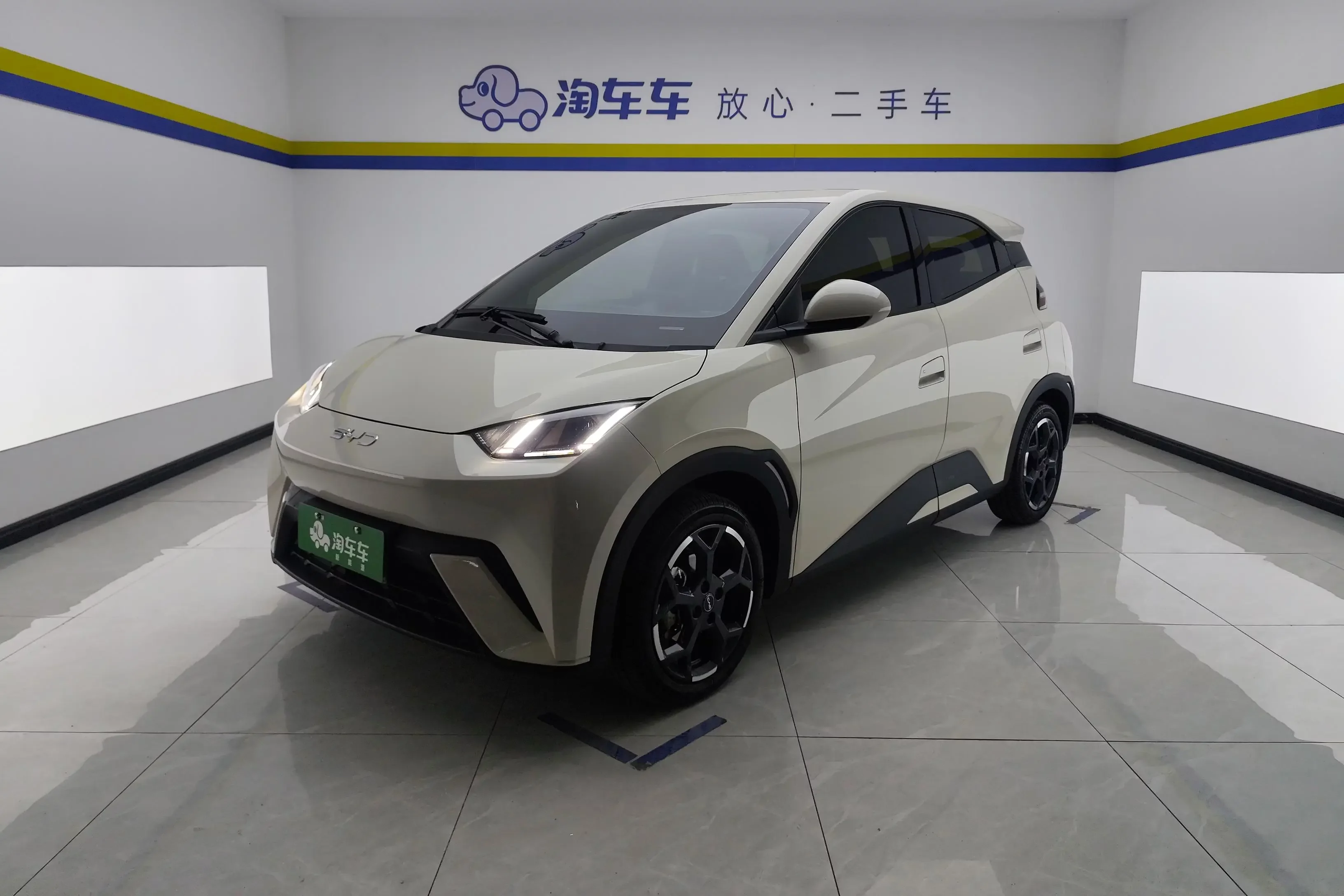 BYD seagull
