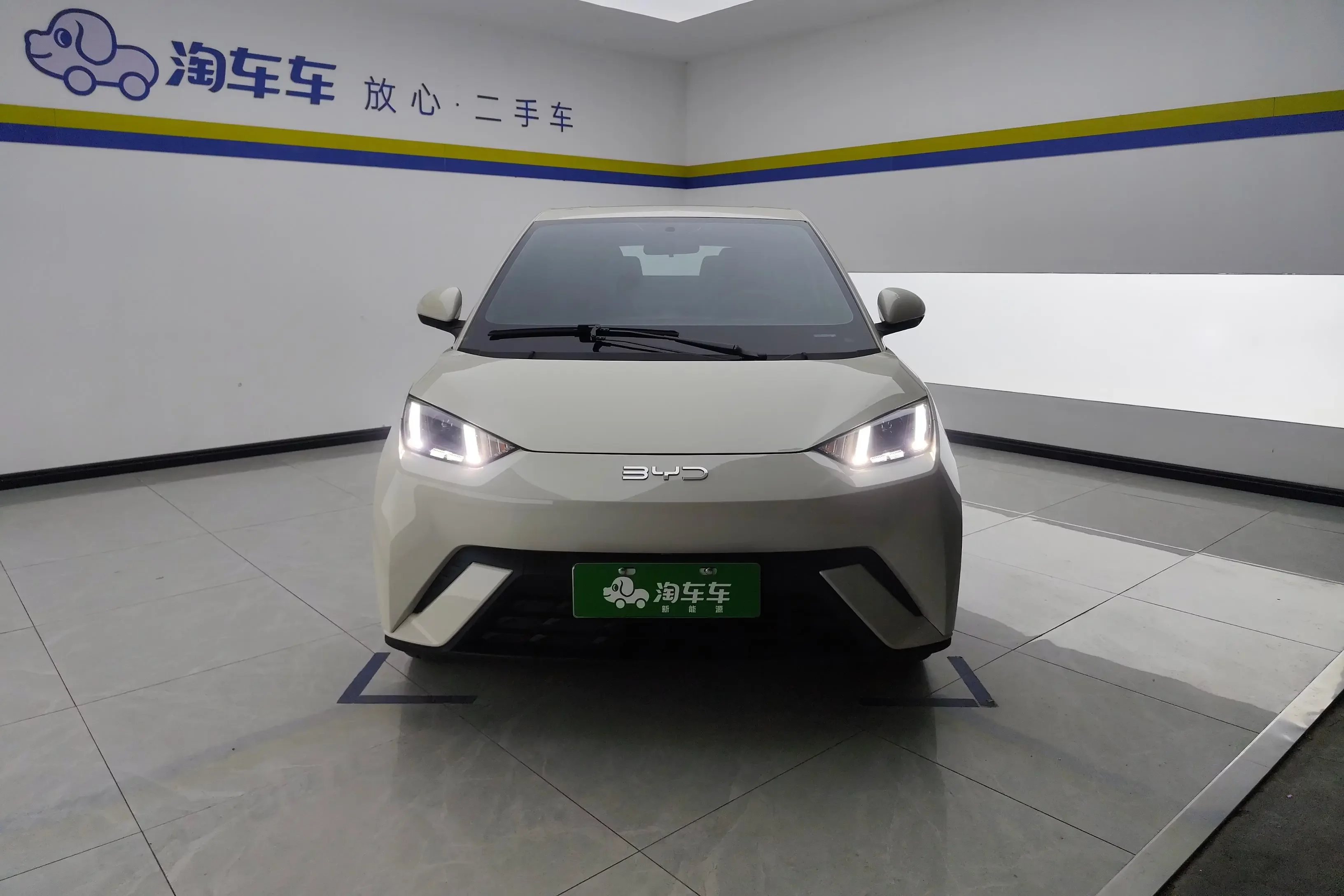 BYD seagull