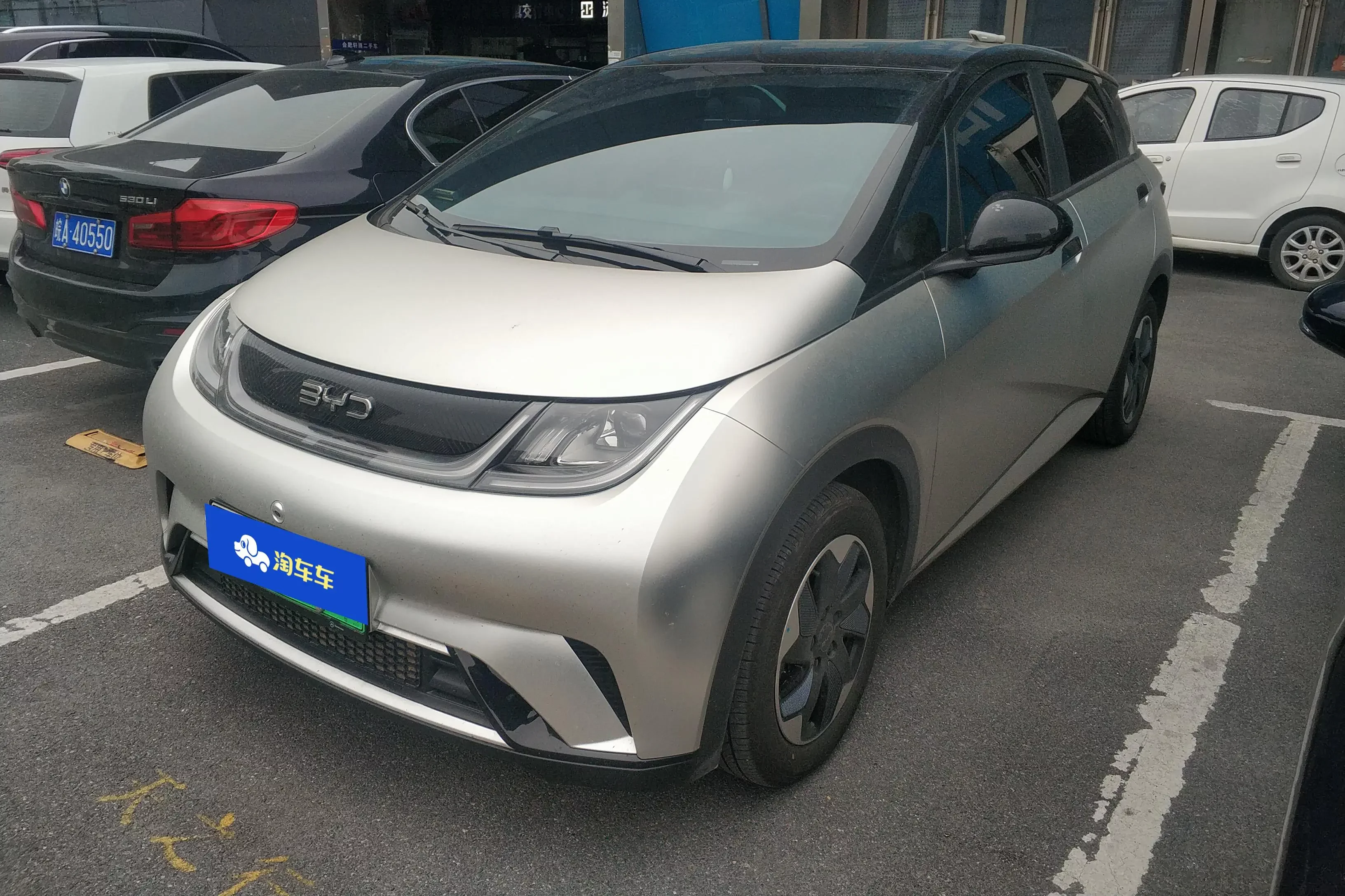 BYD dolphin